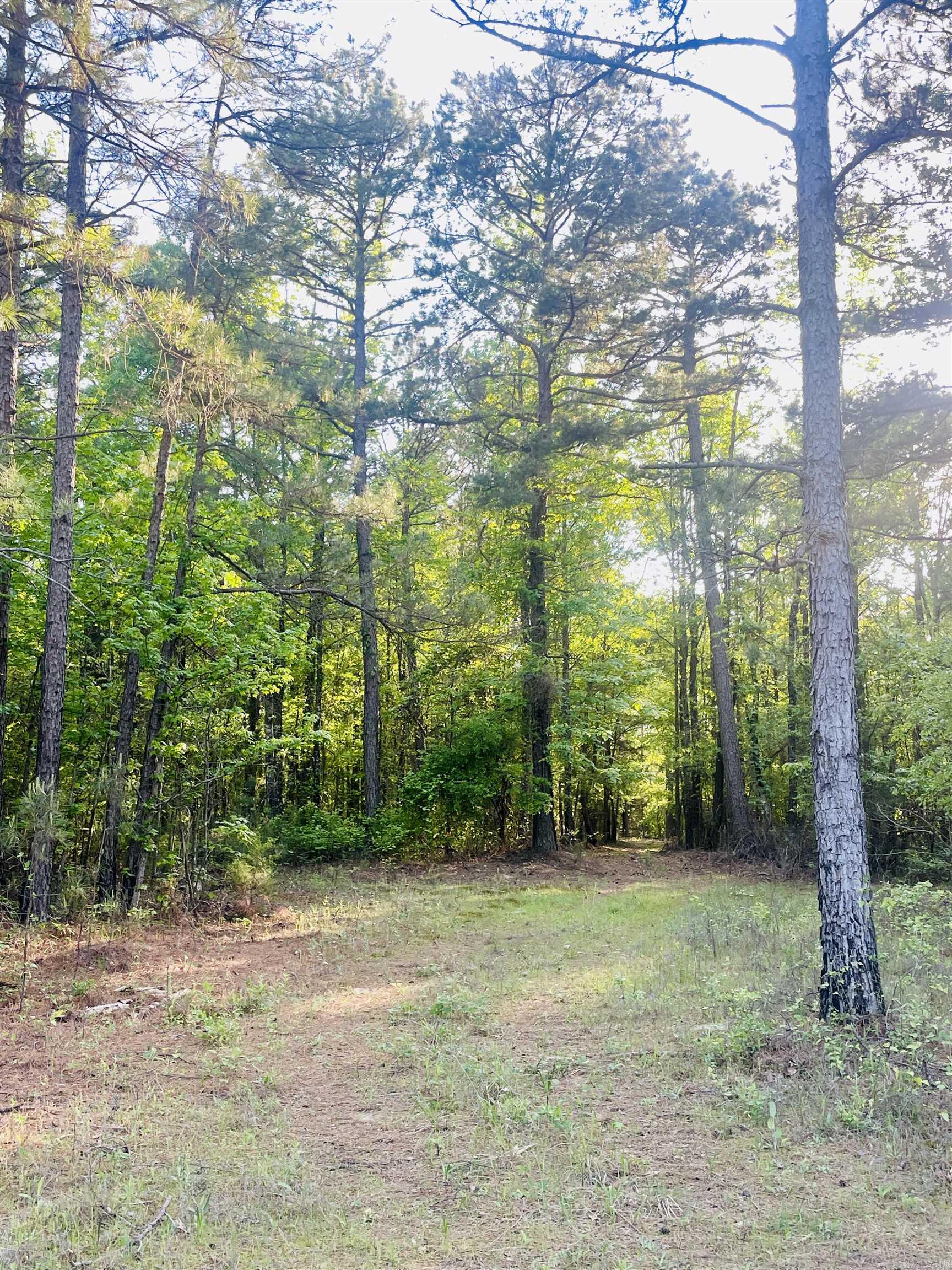 Escape to the peace and privacy of the countryside with this beautiful 25-acre tract located in scenic southwest Arkansas. Boasting generous county road frontage, this property offers easy access while maintaining a secluded, rural feel.  Abundant pine trees provide natural beauty and shade, creating a picturesque setting perfect for building your dream home or weekend getaway. With plenty of space to spread out, you’ll have room for a garden, recreation, livestock, or simply enjoying the wide-open outdoors.  Modern conveniences are ready to go with high-speed internet and rural community water available - just bring your vision and make it your own.  Whether you’re looking for a peaceful homestead, a recreational retreat, or future investment, this land is full of potential. Don’t miss your opportunity to own a slice of Arkansas countryside.  Additional adjoining property available - MLS 115393.