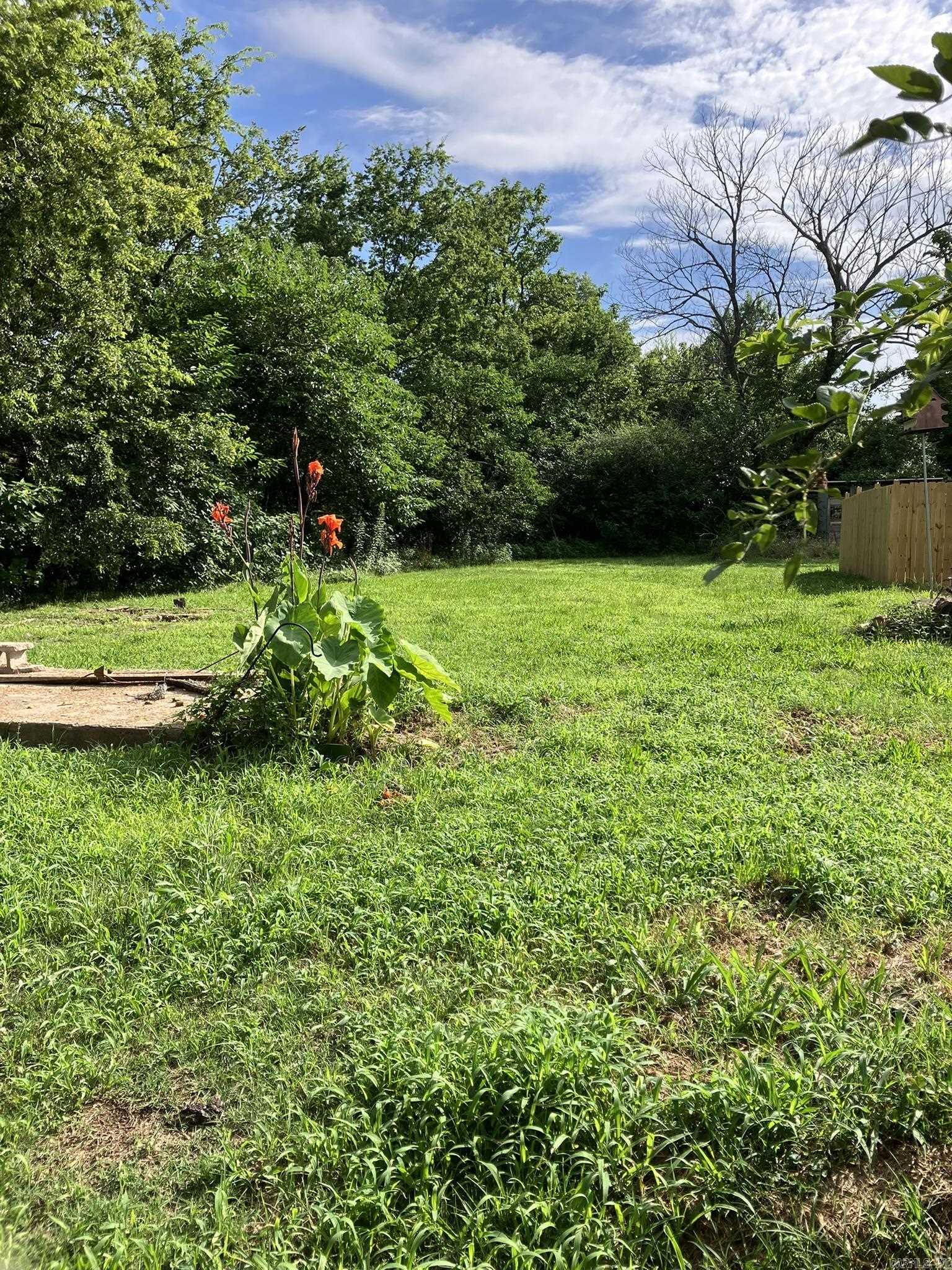 Beautiful flat building lot in a very convenient, yet quiet location near downtown Mena. Lot is 50x140. All utilities are at the street. Zoned R-3 allows a single family home at least 550 sf in size. Two sides are fenced, established peach tree at the front. Ready to build!
