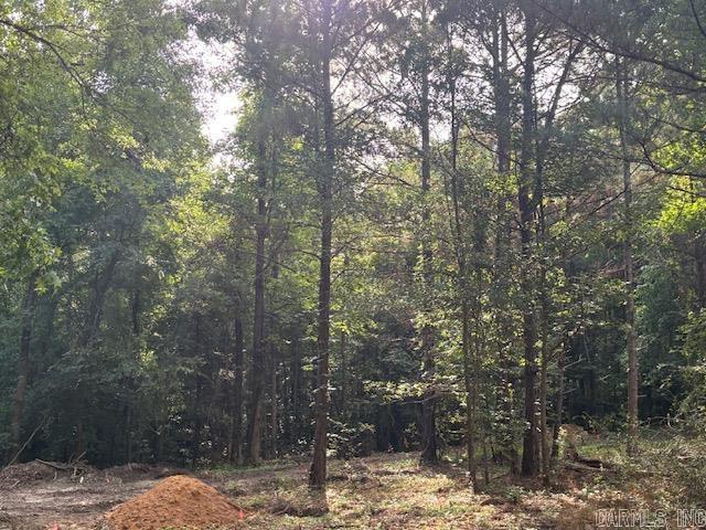 3 ac of wooded land south of Little Rock. Approx 180 ft frontage. Power along road.  Preliminary plat approved, sale subject to final county approval. Seller will provide plat upon county approval.