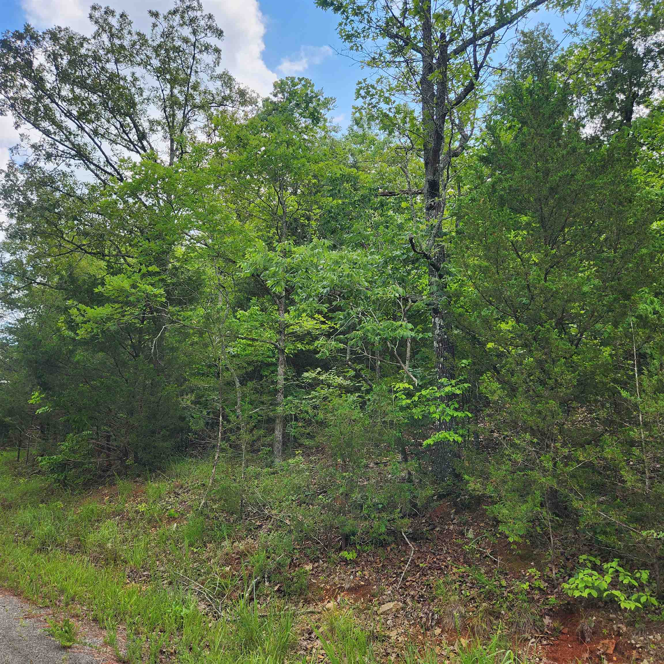 Oneida 4th - Land