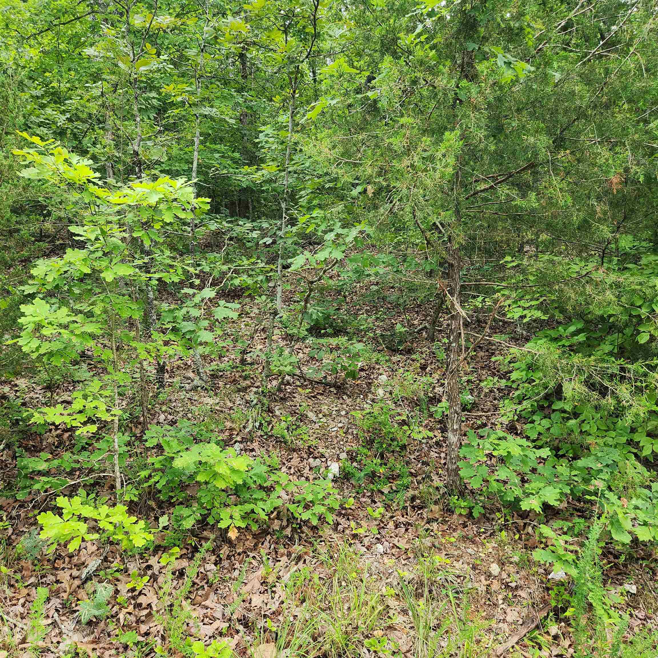 Oneida 4th - Land