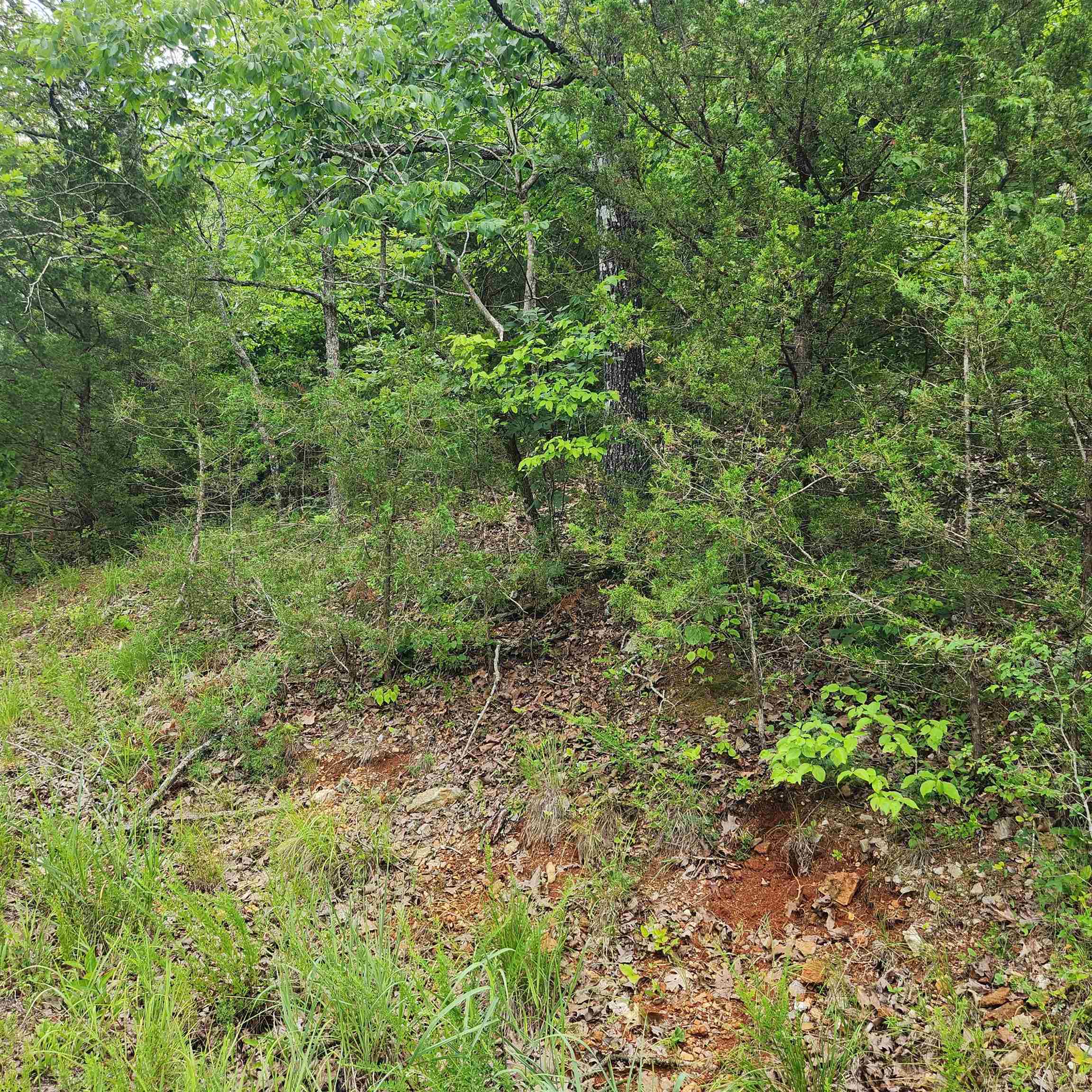 Oneida 4th - Land