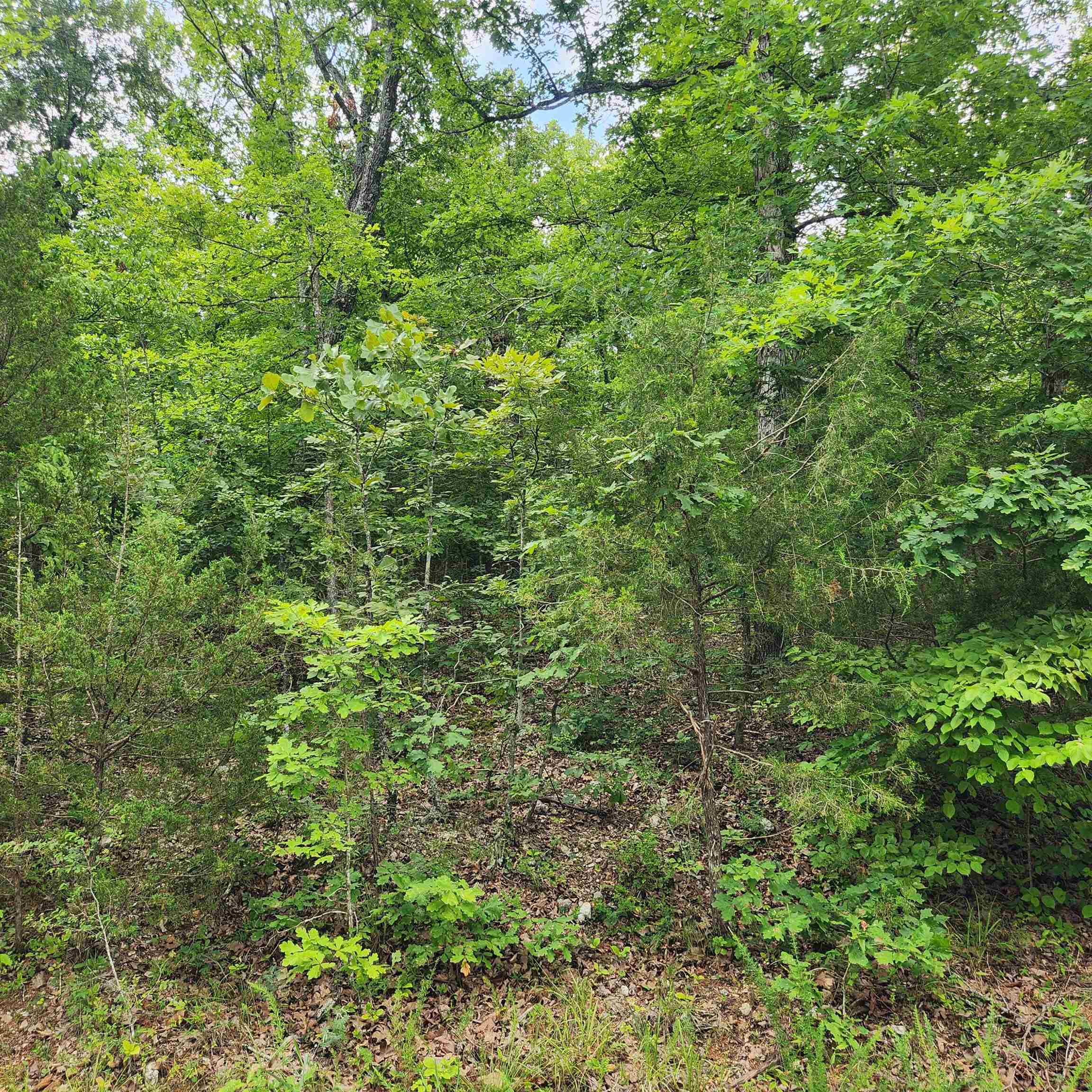 Oneida 4th - Land