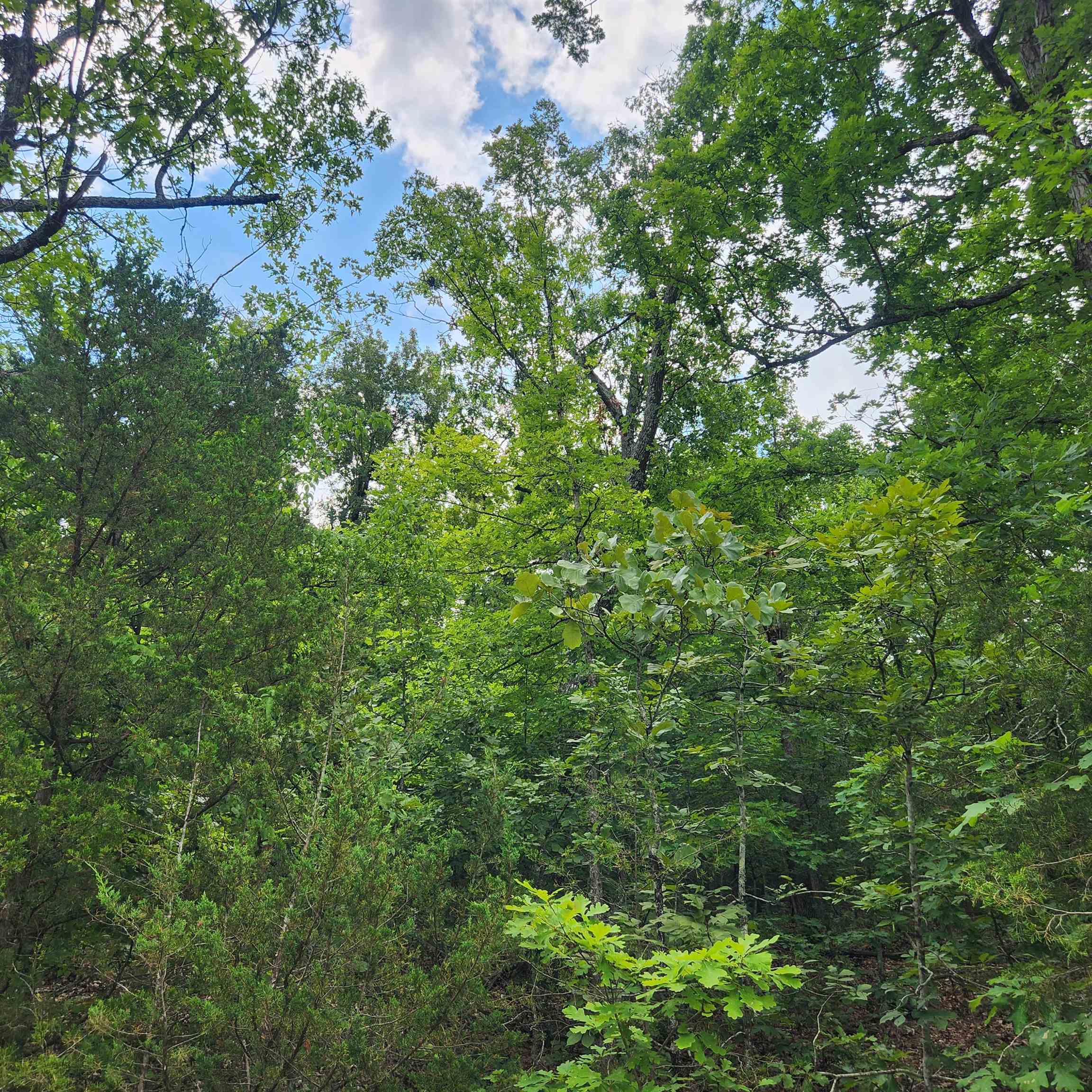 Oneida 4th - Land