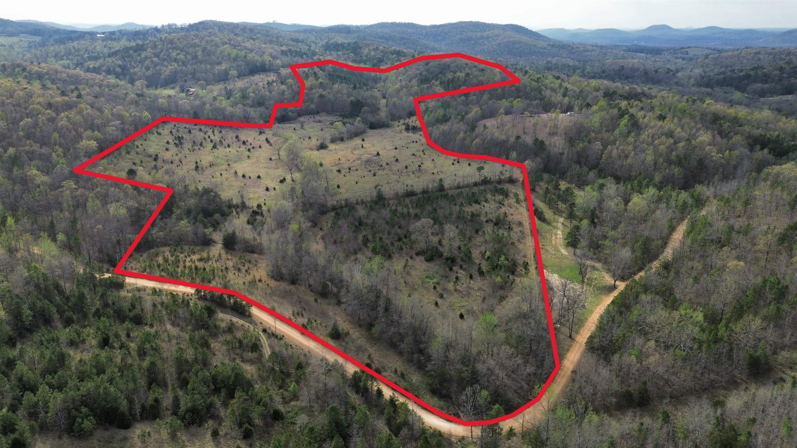 Experience the beauty of the Ozark Mountains with this 77-acre tract in Izard County, Arkansas, offering the perfect mix of open pasture and marketable hardwood timber. About half the land is established pasture ideal for livestock or hobby farming, while the balance provides timber value and natural cover for wildlife.  A seasonal creek winds through the property alongside a pond for livestock, fishing, or relaxing near the water. The diverse terrain creates prime habitat for deer, turkey, and small game, making it a great hunting and recreation property as well as a functional farm.  Several potential building sites offer room for a home, cabin, or barndominium with sweeping Ozark views. With usable pasture, harvestable timber, and water features, this property delivers both immediate enjoyment and long-term investment potential in the heart of the Ozarks.  Listed for $224,900.