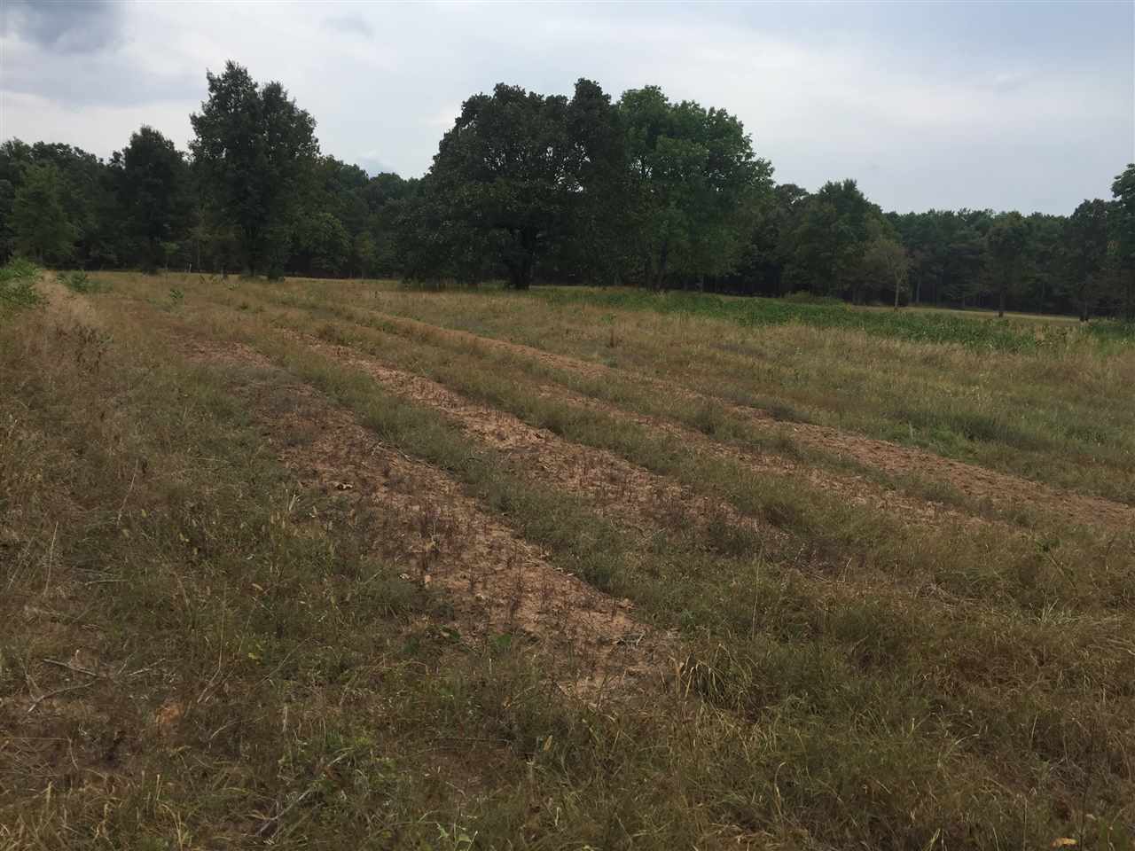 Tillable row crop farm