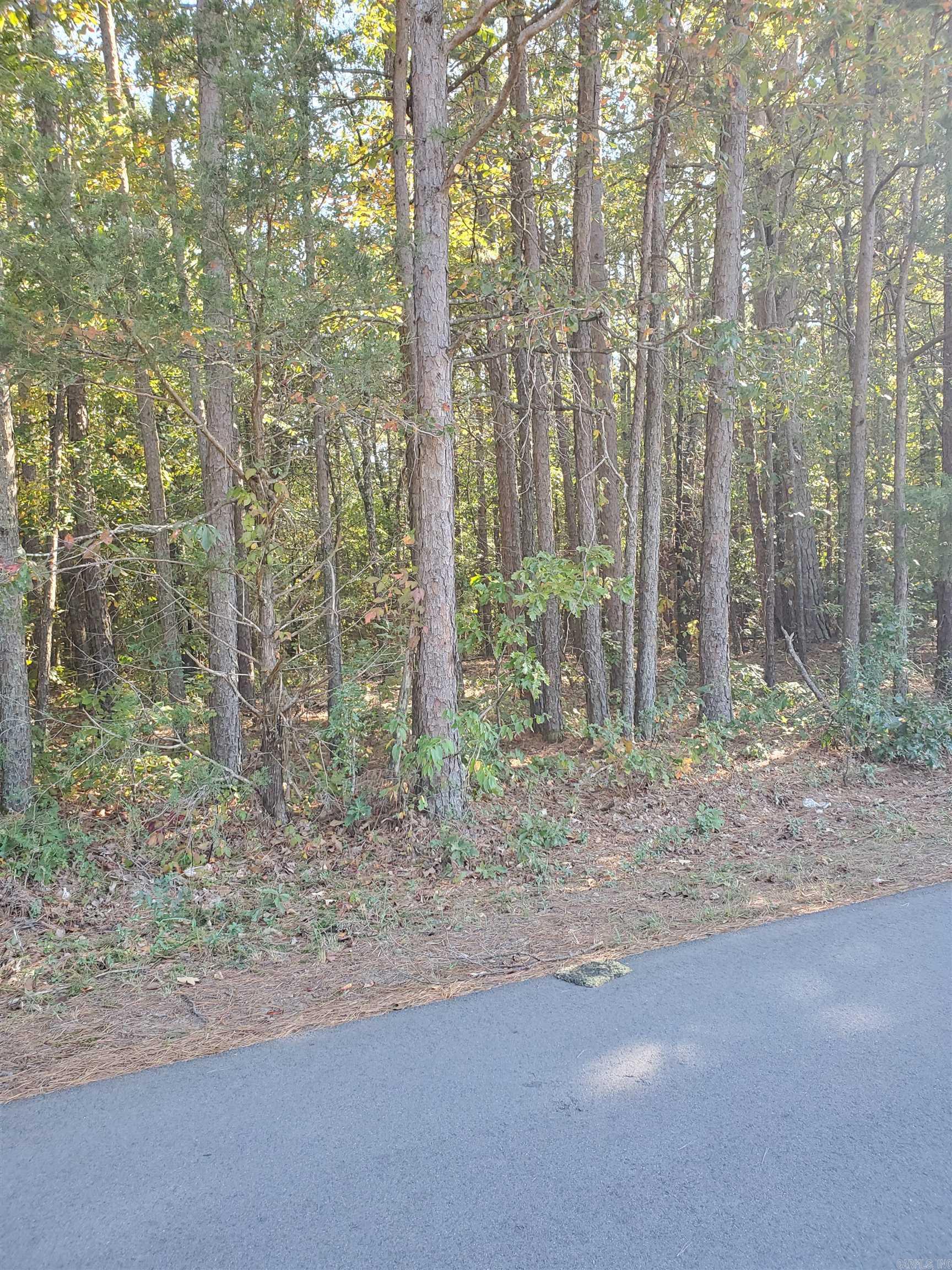 Country Wood Unit IV - Land