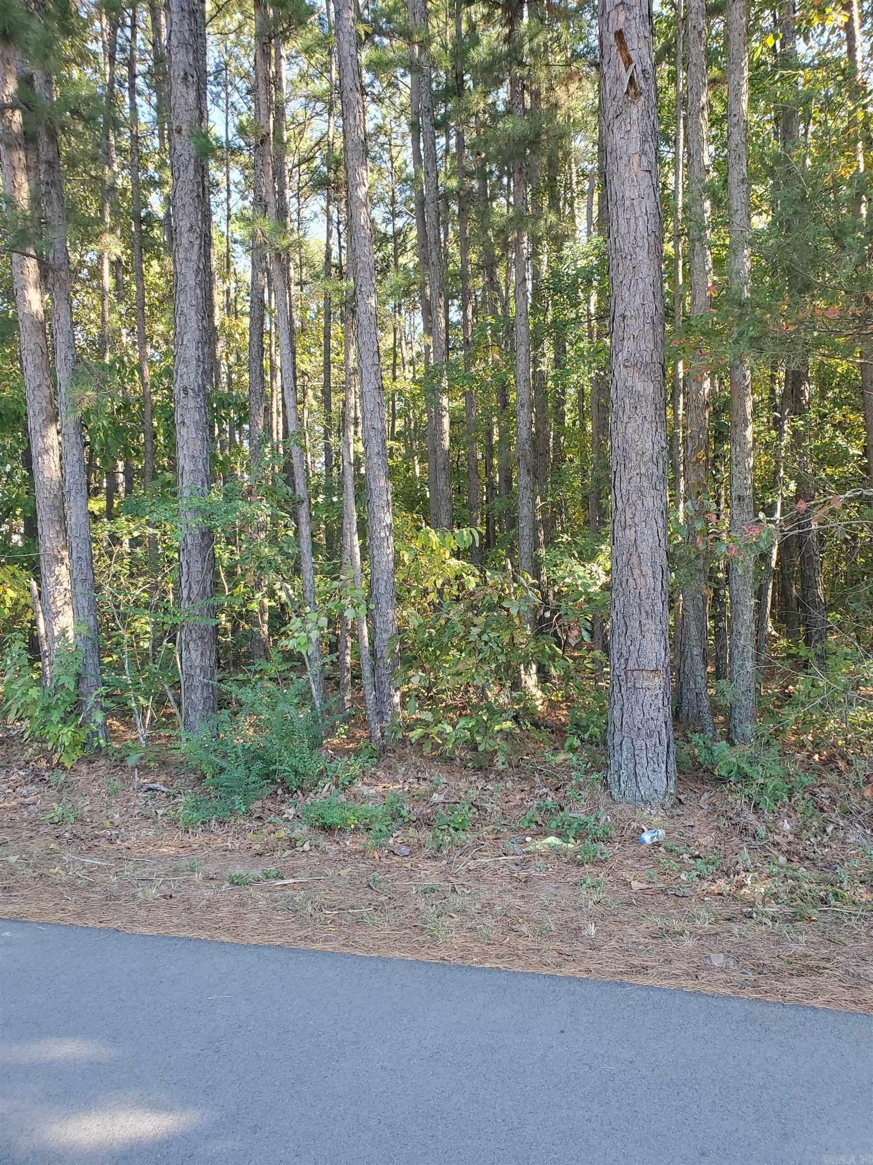 Country Wood Unit IV - Land
