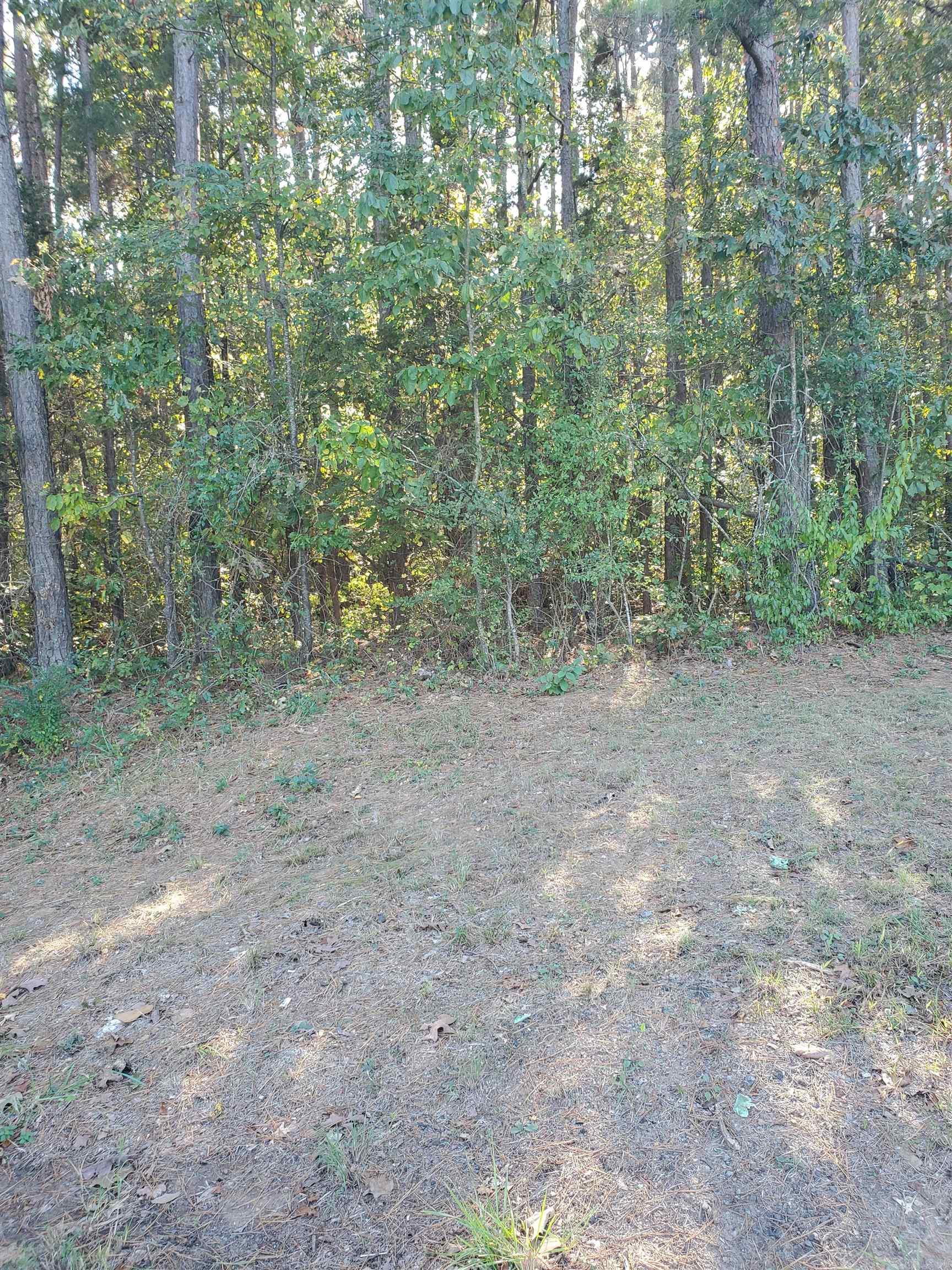 Very nice country acreage to build a home on.  This is close to Quitman and just minutes to Heber Springs or Conway.  Nice level land.