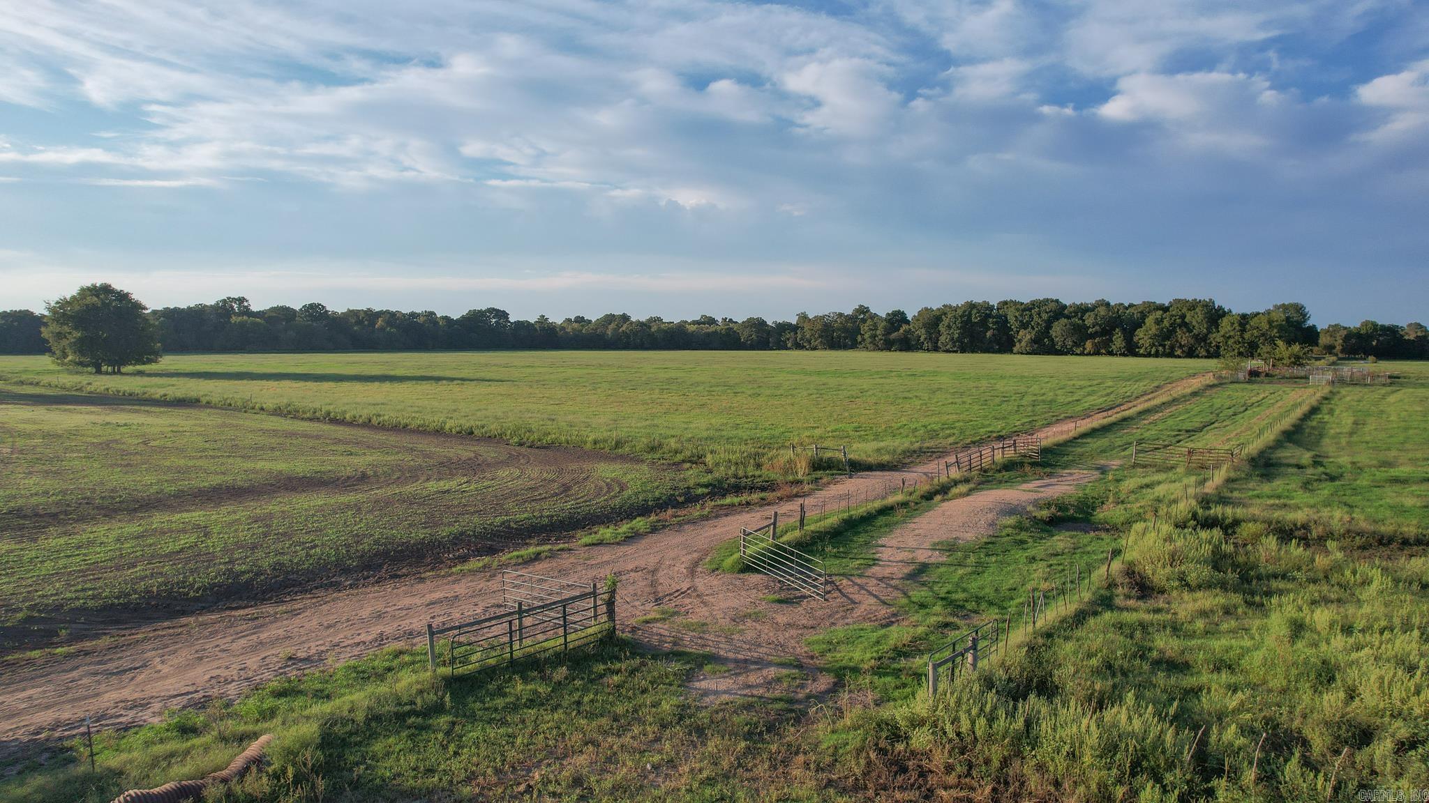 Great opportunity to own a cattle ranch near Red River. This property is currently leased and has been well-managed and improved for many years. Ranch improvements include planting and establishing grass, fencing, cross-fencing, and rotational grazing. There are approximately 500 acres of pastureland, and the remaining acres are wooded, providing some top-notch deer hunting. The general location of the property lends itself to big bucks, and some areas could be improved for duck hunting. There is also a 40-acre pecan orchard located on the property to expand its investment potential. Property in this area doesn’t come up for sale often. Call today!
