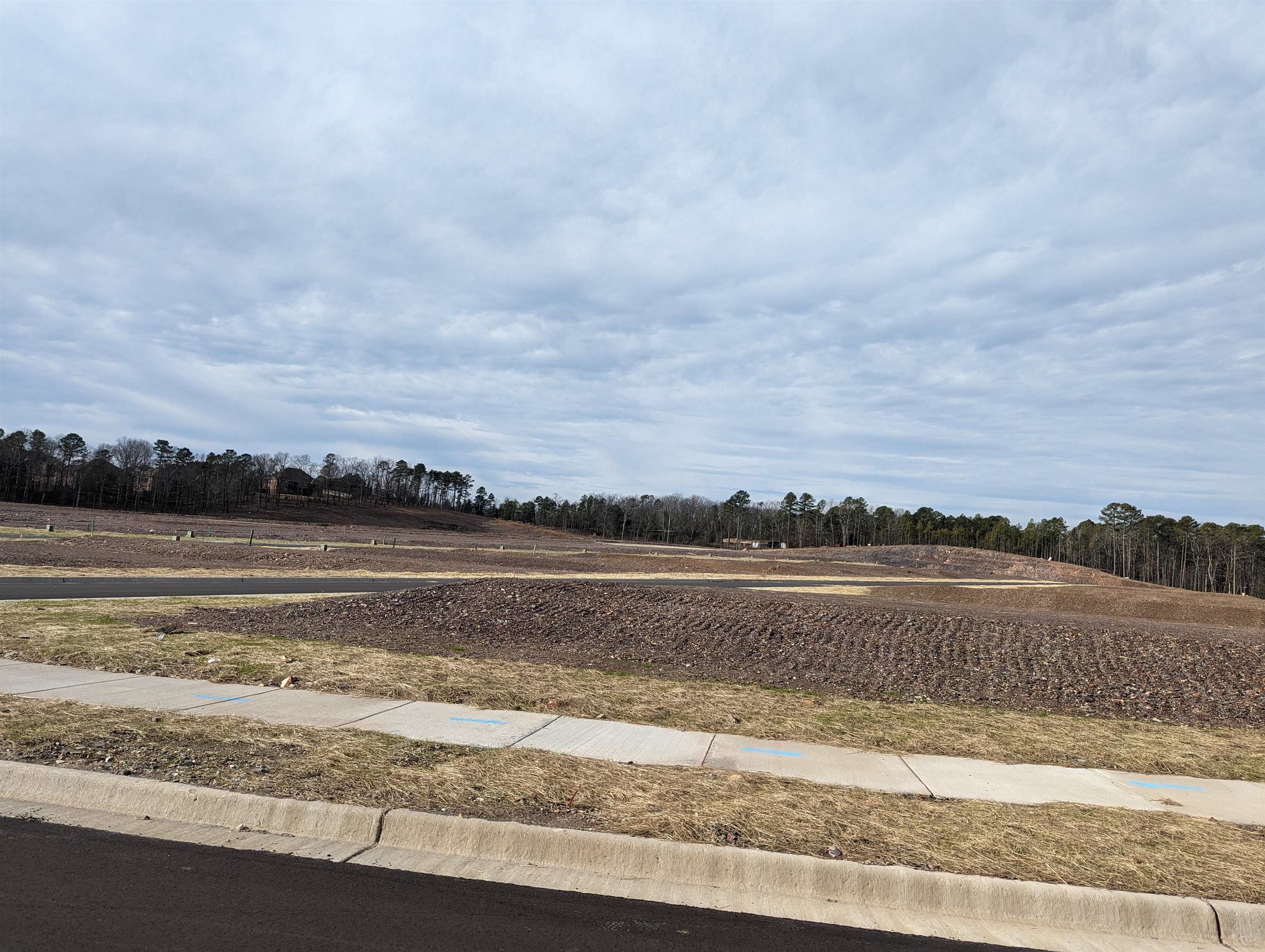 EDGEWOOD PHASE 1 - Land