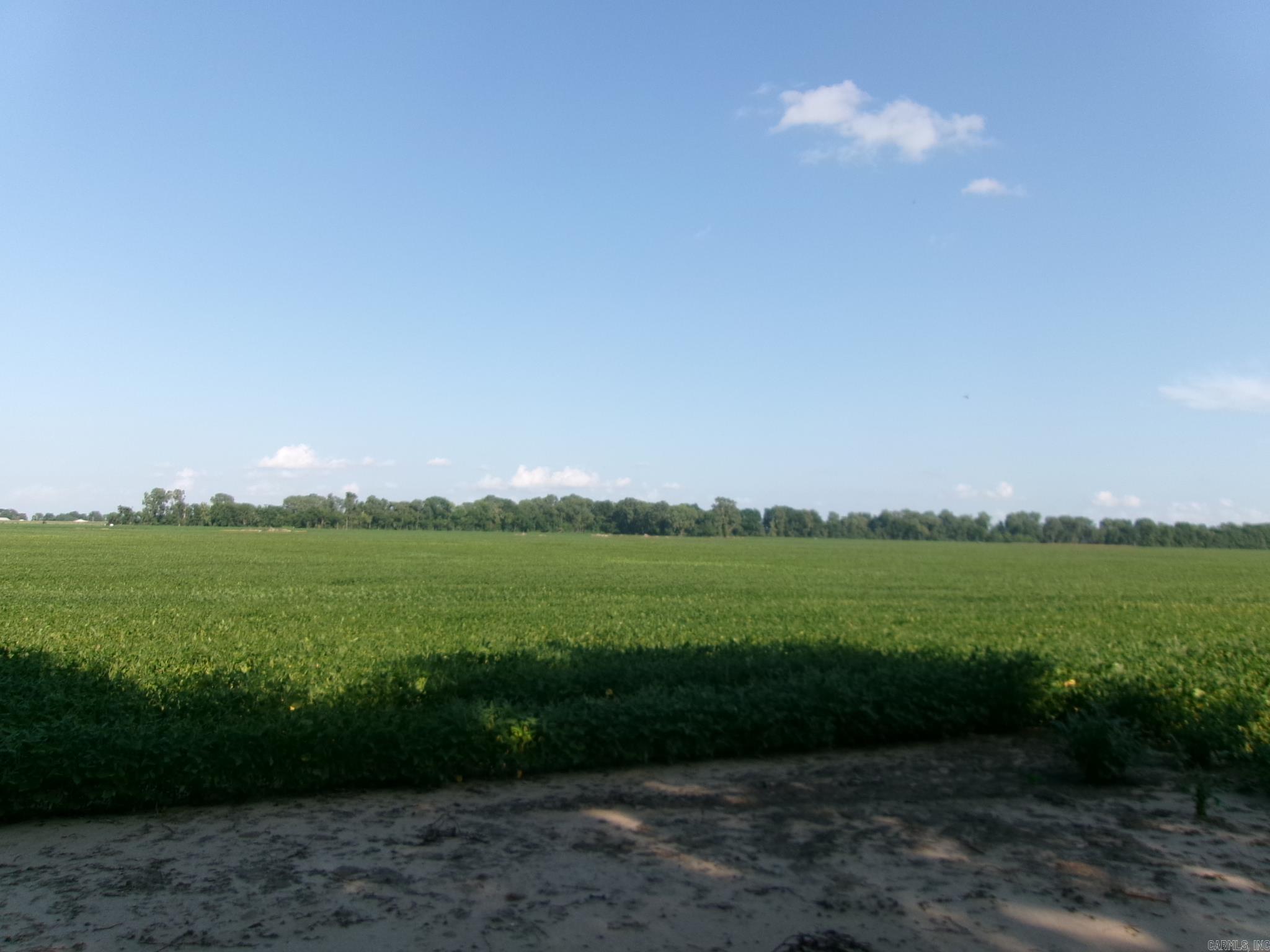 Caldwell Farms - Farm