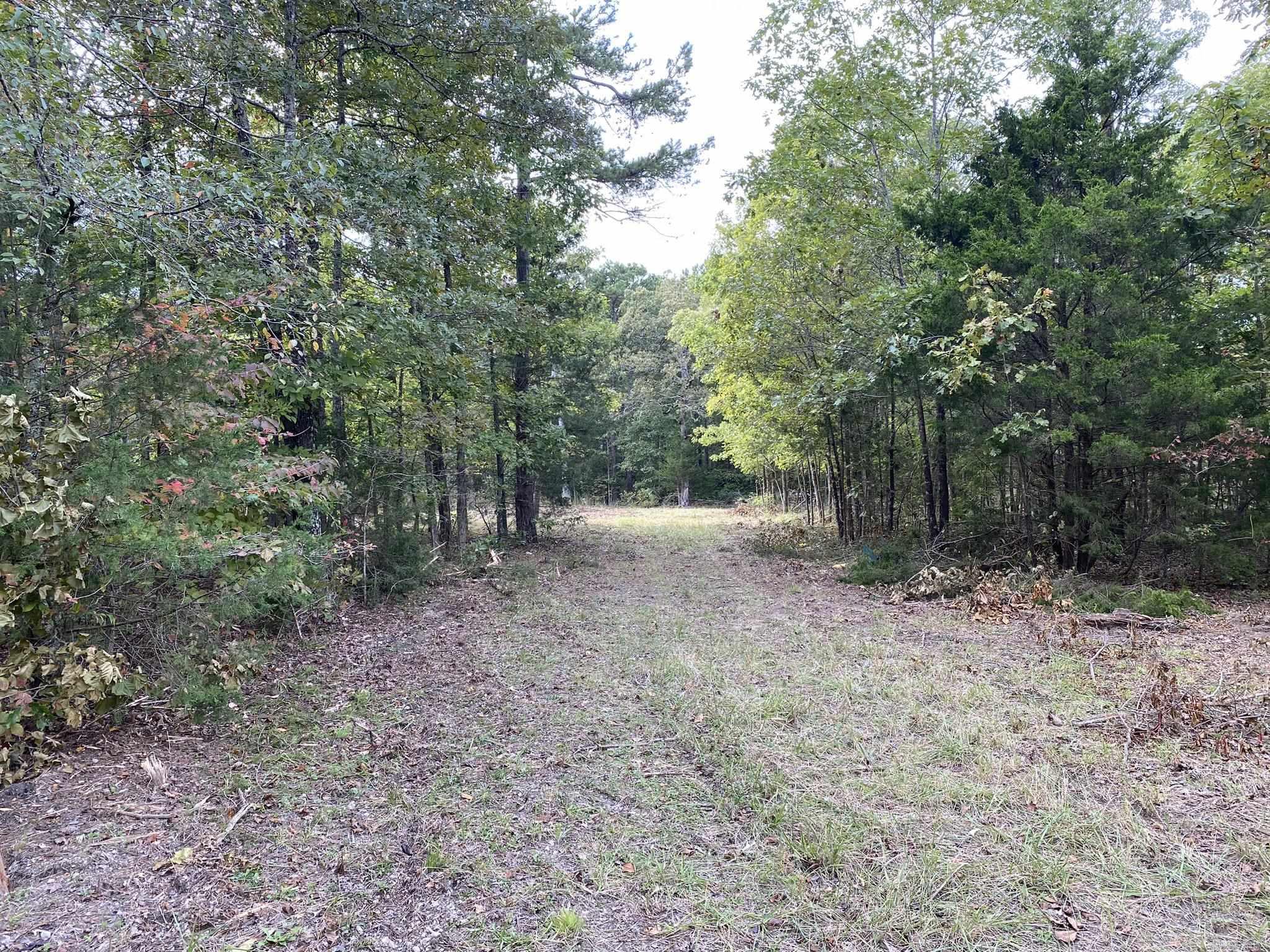 Sandy Creek - Land
