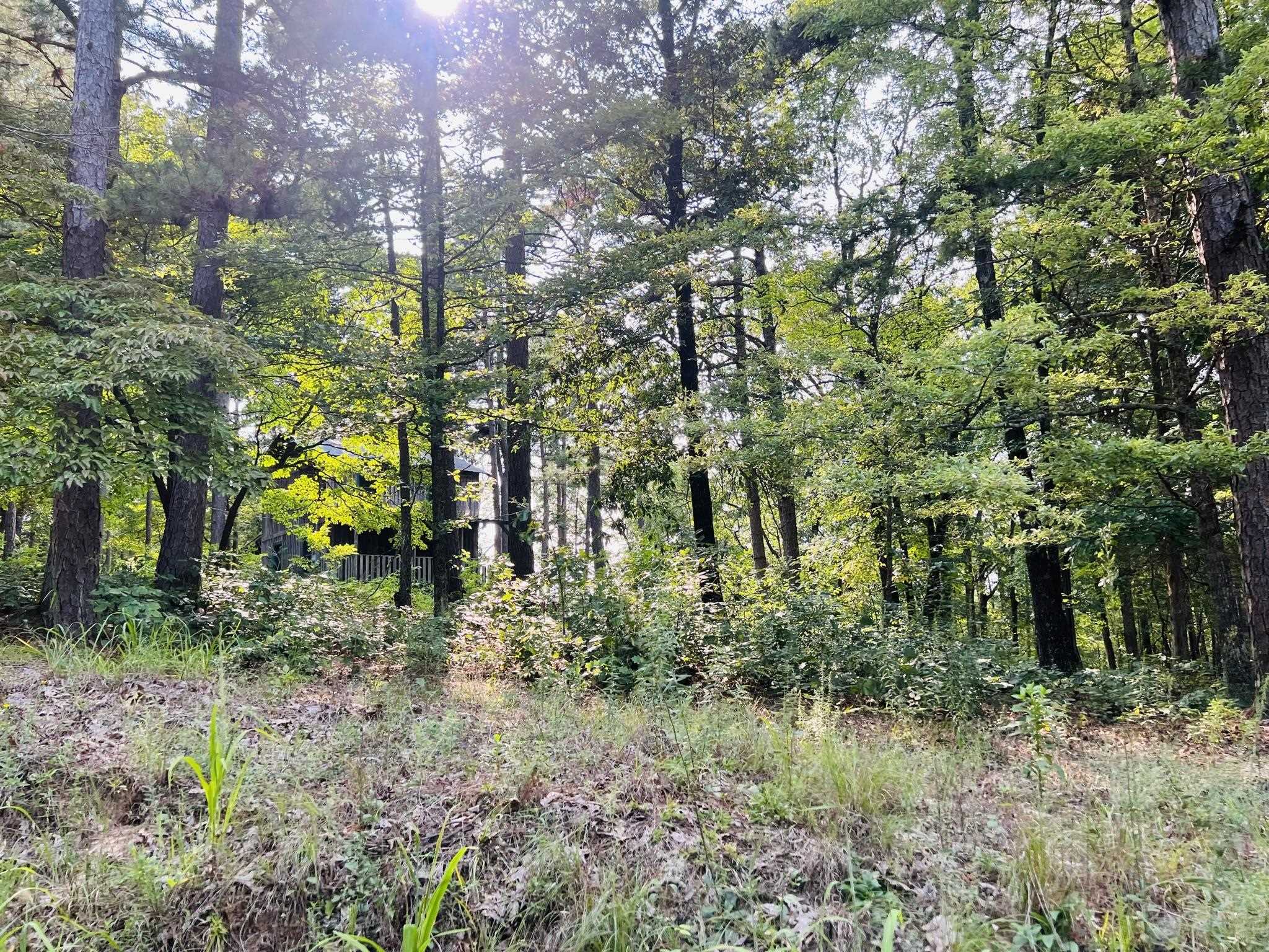 DEER RUN - Land