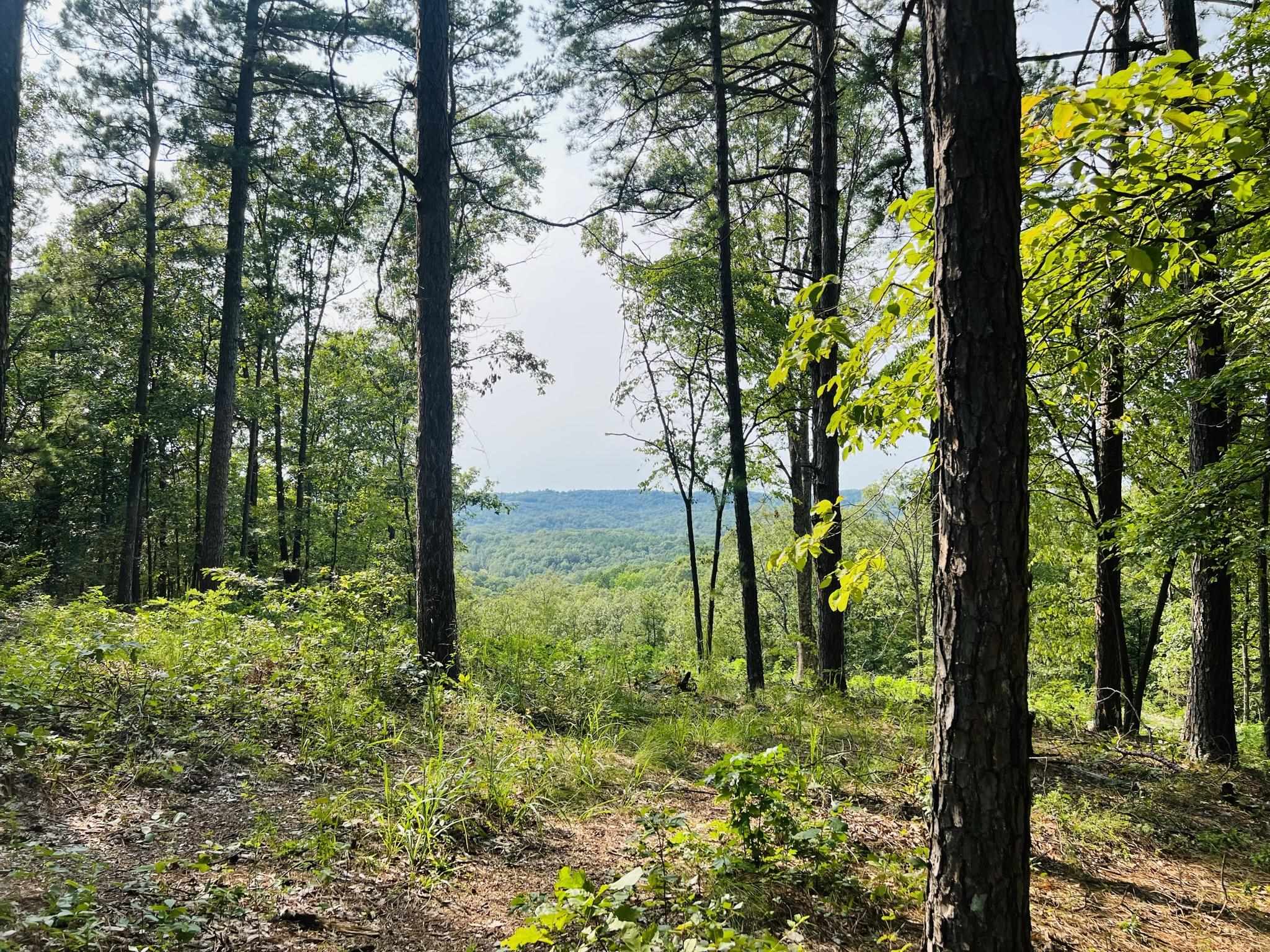 DEER RUN - Land