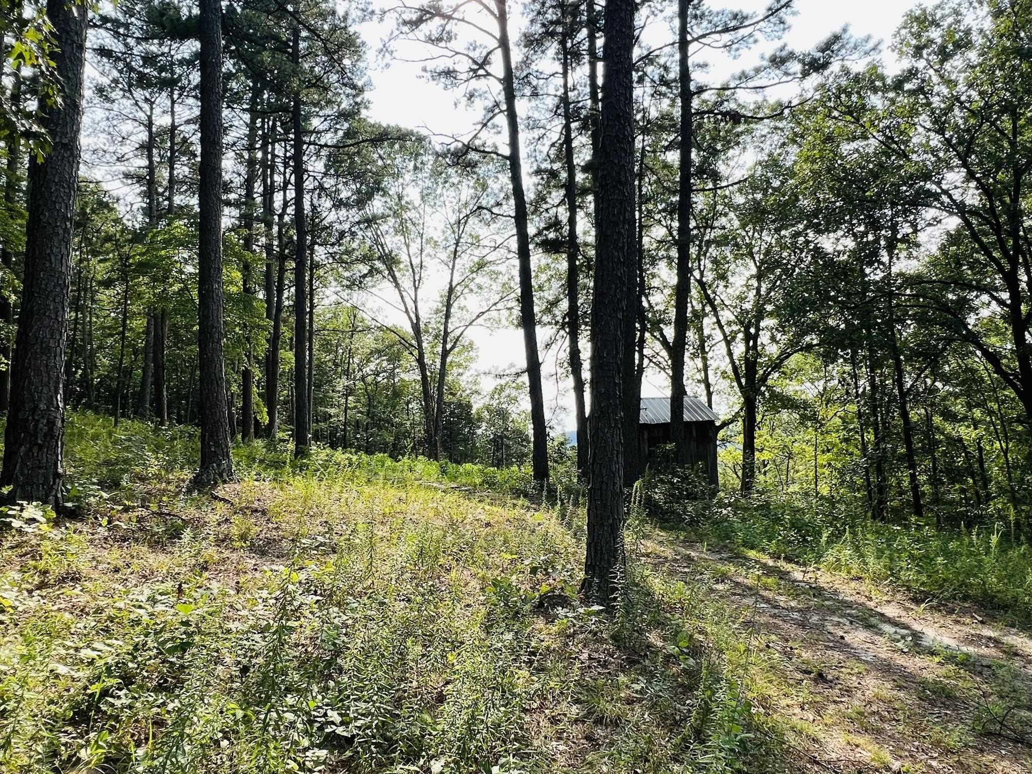 DEER RUN - Land
