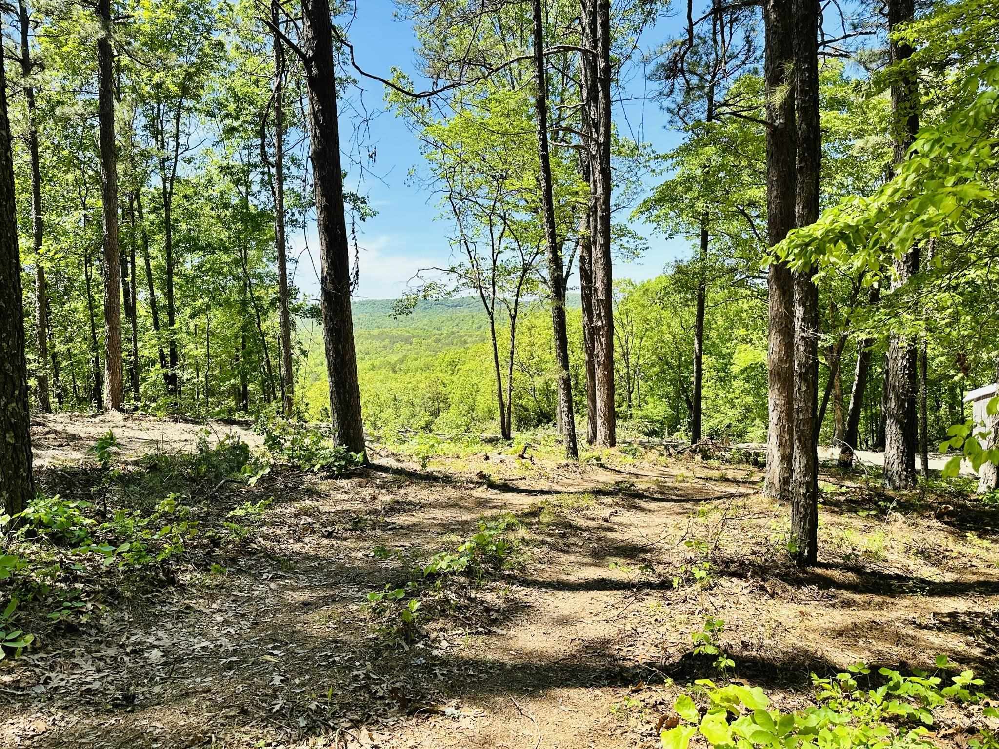 SCENIC ACREAGE WITH RUSTIC CABIN JUST OUTSIDE OF MELBOURNE, ARKANSAS  Looking for the perfect mountain retreat? Look no further than this rural 16.85 acres! With a stunning mountain view and ample space to roam, this wooded property offers the ultimate in rustic charm and natural beauty.   On the property, there is an 800 sq ft rustic cabin that spans two floors and includes a loft bedroom. The cabin solely relies on electricity only for utilities.  Whether you're looking for a weekend getaway or hunting cabin, this property is sure to exceed your expectations. Listed for $84,900!