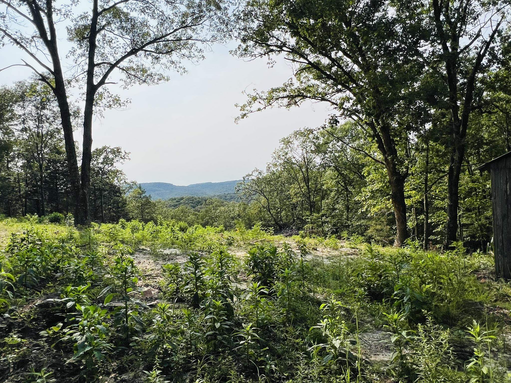 DEER RUN - Land