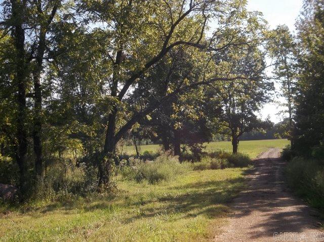 Build Your Dream Home on this private 14.94 acres. Located about 16 miles north of Searcy. There is and old Barn on the property. There is a home site with drive and city water and a septic tank. Mostly pasture but enough woods around the edges to make it a private setting. Survey is on file. Corners are marked well. Fences not on property lines. Seller does not own the minerals. Call today for more information on this property!