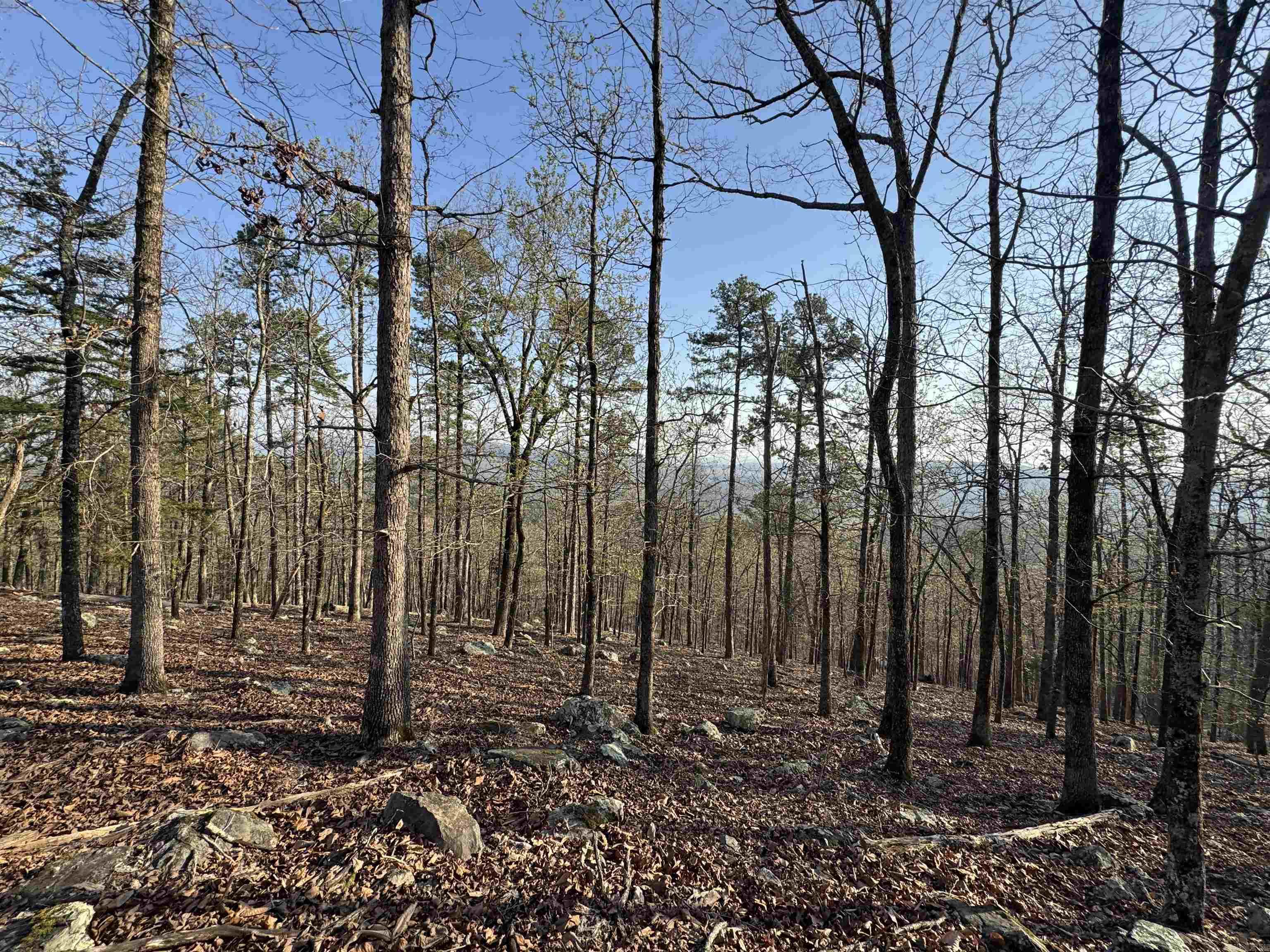 Elevate your vision with this rare one-acre vacant lot, perfectly suited for a custom-built mountain-top retreat. Featuring an extreme upslope, this property is ideal for an architecturally striking home designed to capture the truly breathtaking panoramic mountain views from every level. Imagine a multi-story retreat with expansive decks, floor-to-ceiling windows, and seamless indoor-outdoor living—all positioned to take full advantage of the dramatic elevation and natural landscape. The upslope terrain offers the perfect opportunity for a walk-out design, maximizing both privacy and scenery. Surrounded by nature and tranquility, this property delivers the ultimate escape while still offering convenient access to nearby amenities (buyer to verify utilities and build requirements). Whether you're planning a luxurious getaway, a modern hillside masterpiece, or a peaceful second home, this lot provides the foundation for something truly special. Bring your builder, bring your vision—this mountain-top opportunity is priced to sell and ready to inspire.