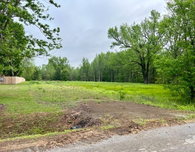 Saddlebrook Estates - Land