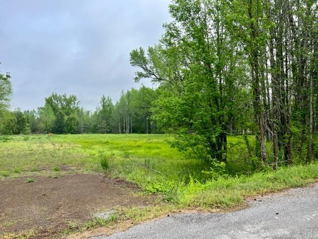 Saddlebrook Estates - Land