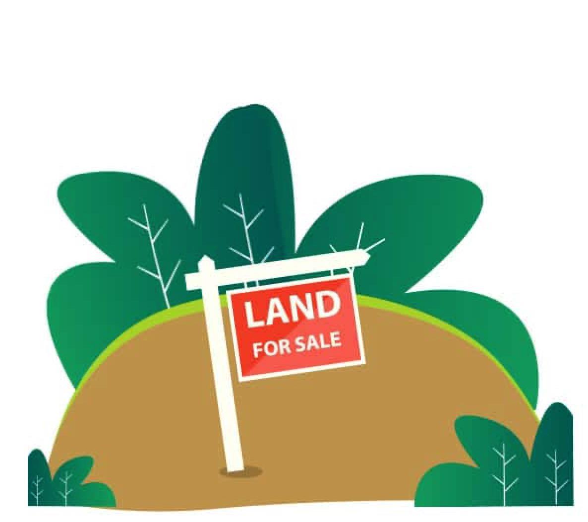 Woodland Point - Land