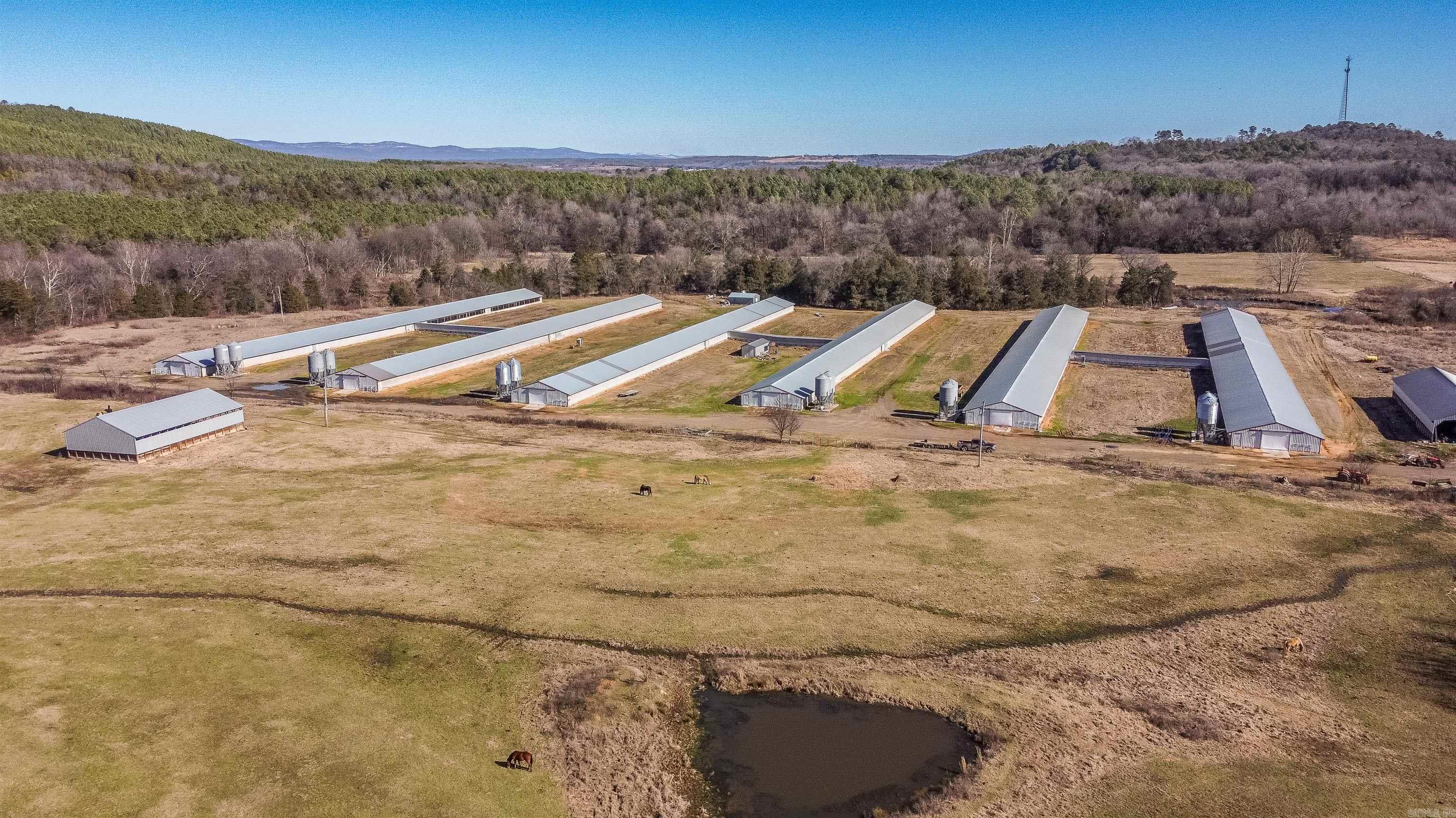 Johnsons - Farm