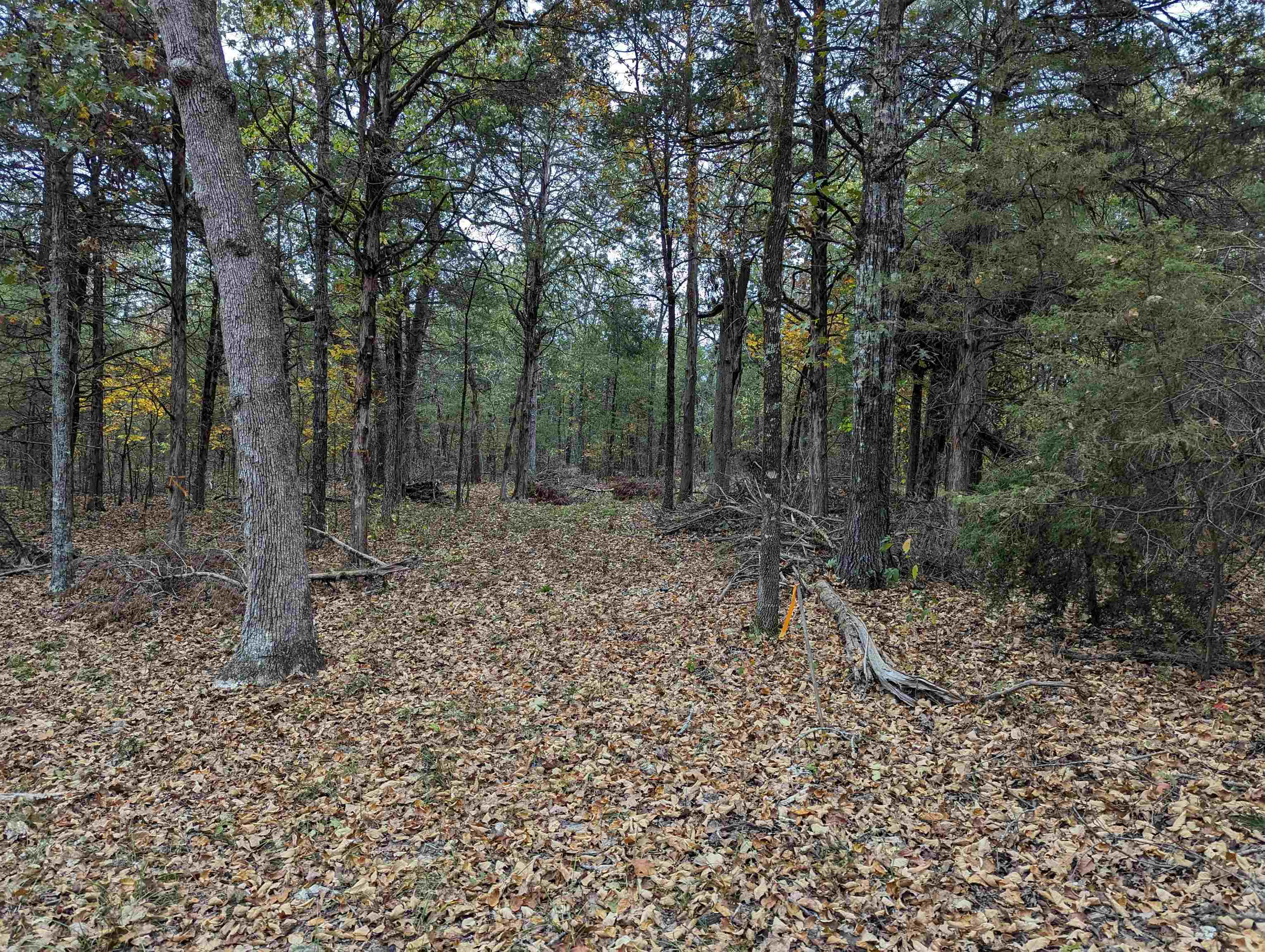Oak Ridge - Land