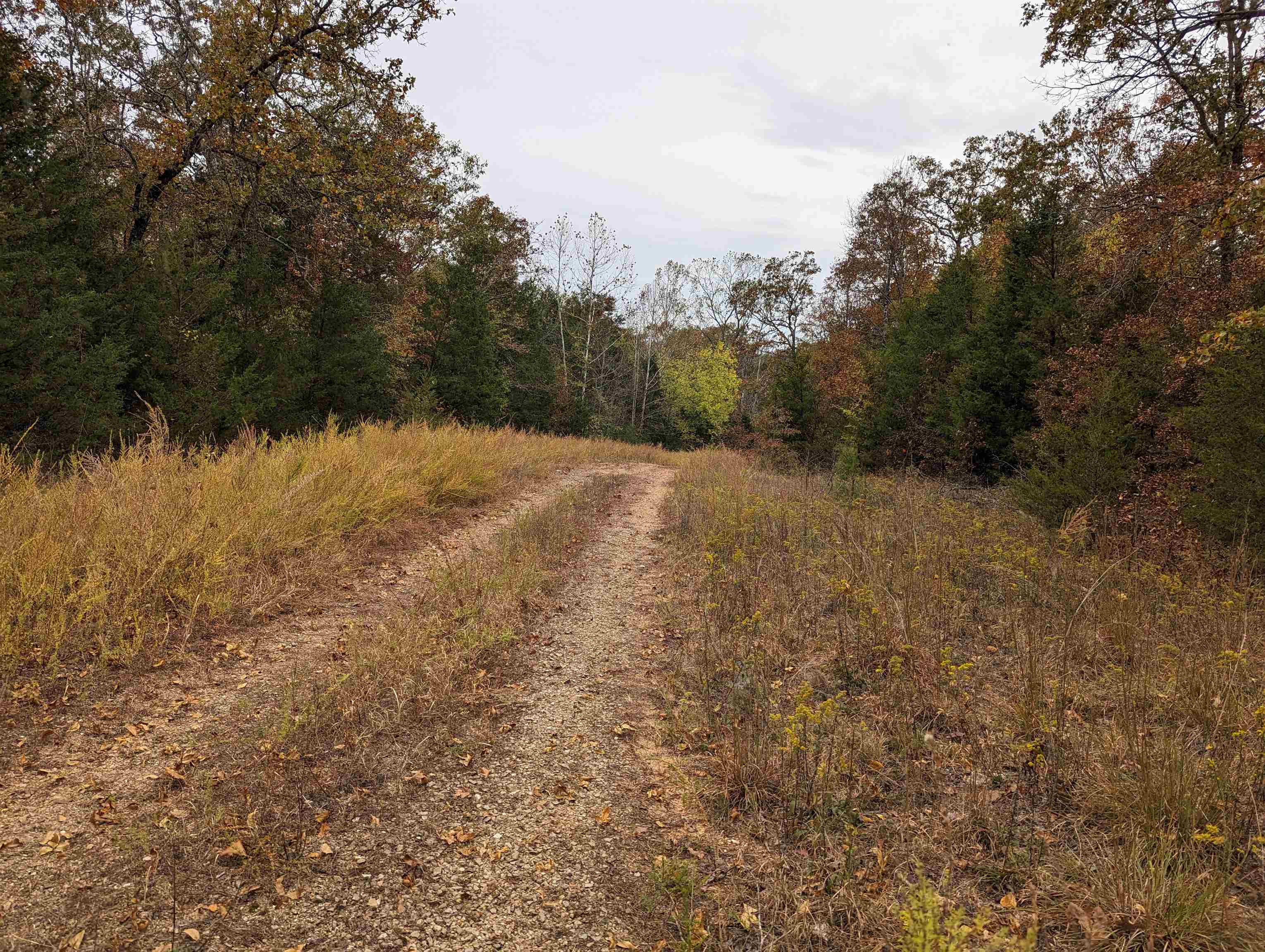 Oak Ridge - Land