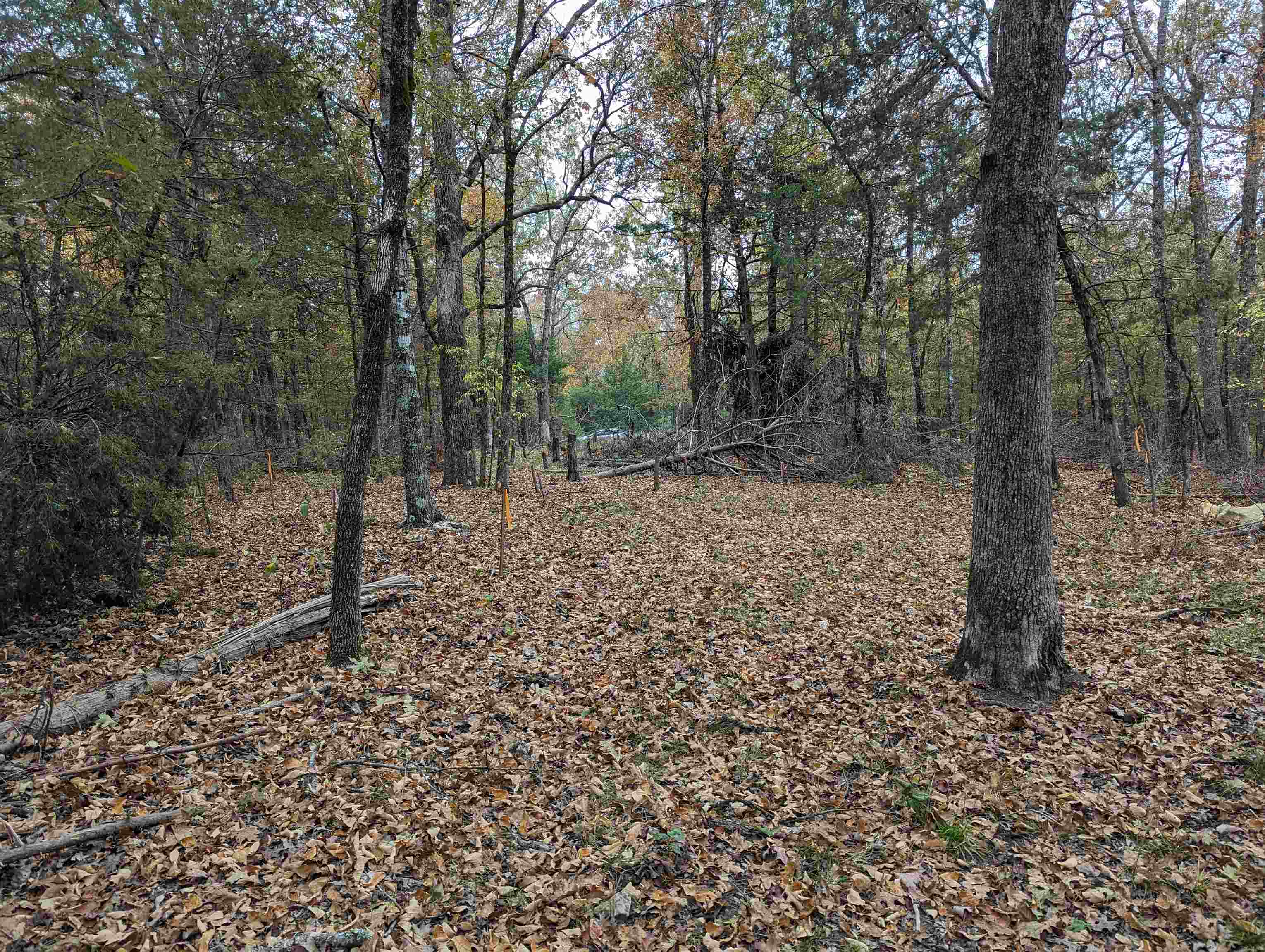 Oak Ridge - Land