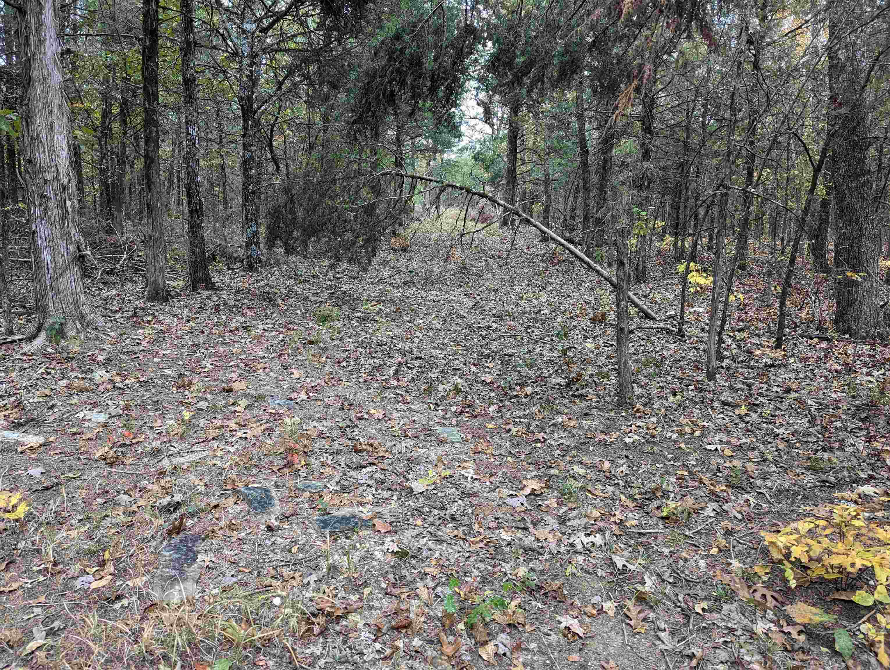 Oak Ridge - Land