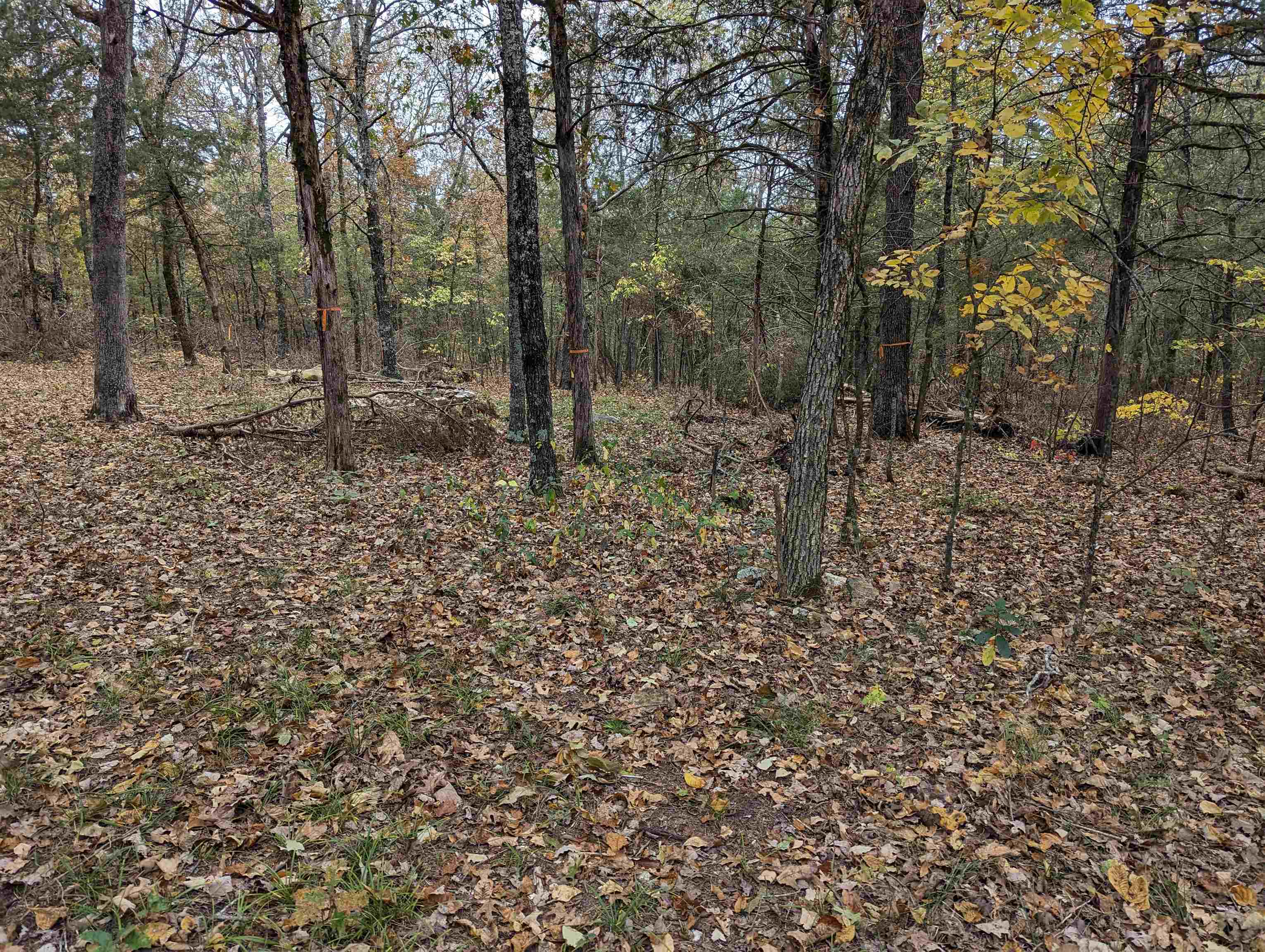 Oak Ridge - Land