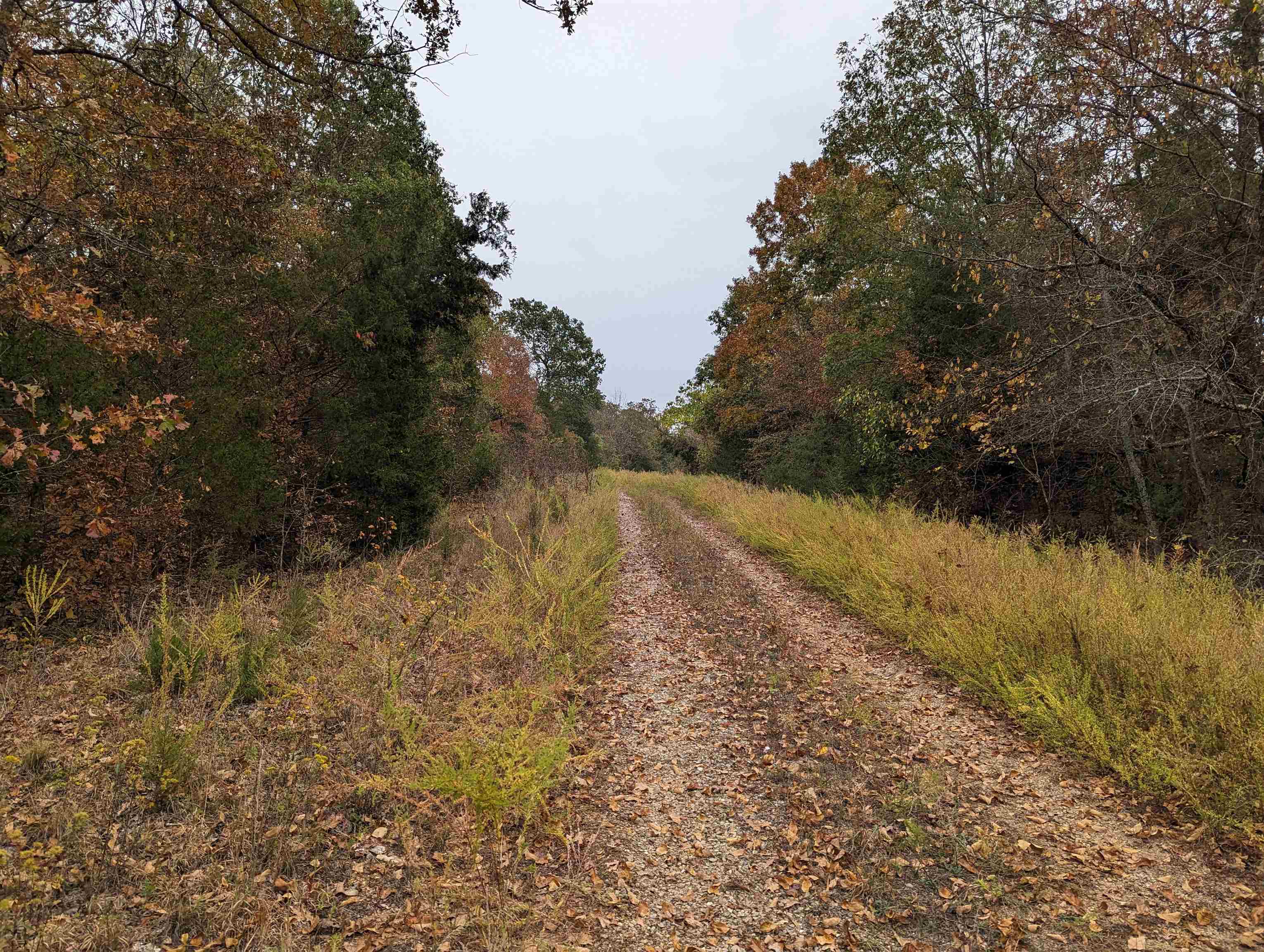 Oak Ridge - Land