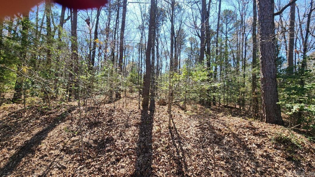 Welcome to beautiful Hot Springs Village, which has so much to offer! This vacant lot is the perfect place to build your dream home. Utilities are readily available, with common property access to Lake Balboa which is  across the road.