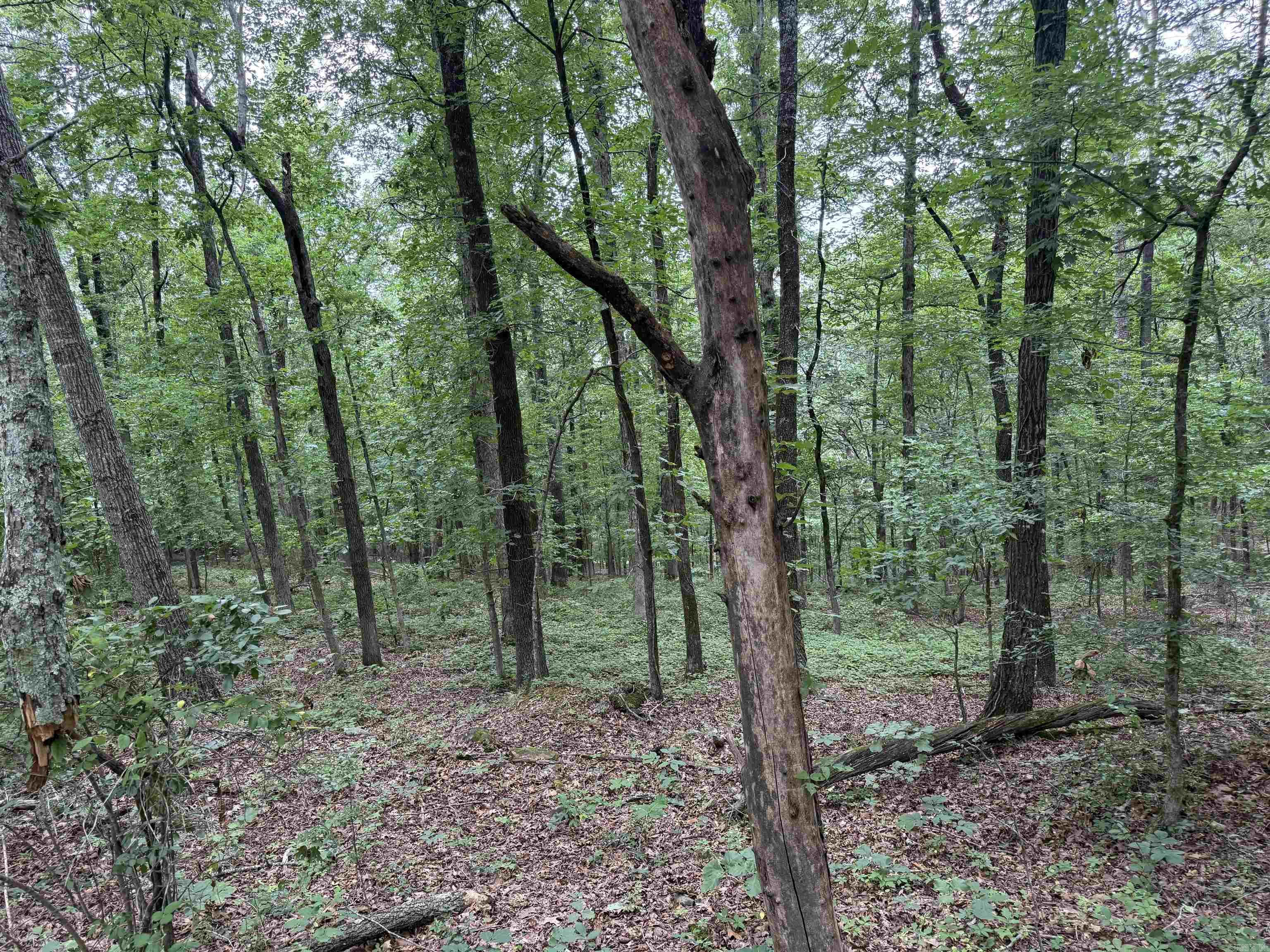 South Shores Park - Land