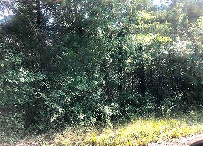 Wooded lot with utilities in the area.  A close walk to Lake Navajo.