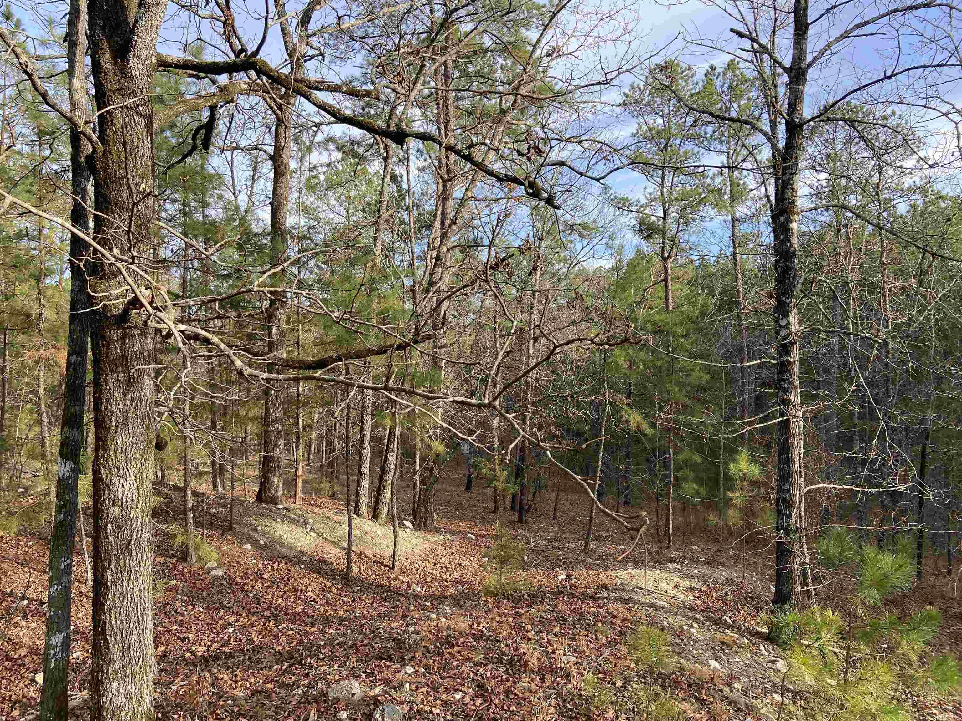 Not in Subdivision - Land