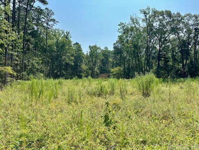 Come see this beautiful, wooded property! Being outside zoning restrictions, this property would be great for your next home or business!  Tract A is 3.19 acres with a pond. Option to purchase Tract C as well if interested.  Tract C: MLS #24023557