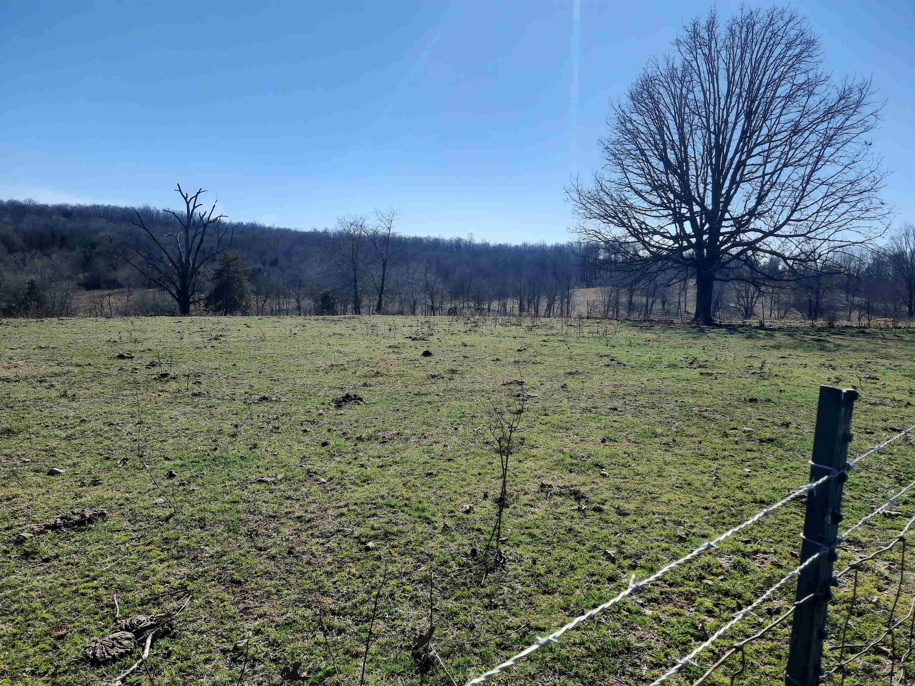 Beautiful rolling pasture, ready for you and your cows, horses whatever you enjoy,  fenced and cross fenced, ponds, wonderful building sites, property is convent to down town, close to the famous Mammoth Springs, and Spring River.  Located in North Central Arkansas, Mammoth Springs area offers fishing, swimming, recreation, one of the largest springs in North America.  Mammoth Spring feeds the Spring River great fishing, swimming and adventurous floating.