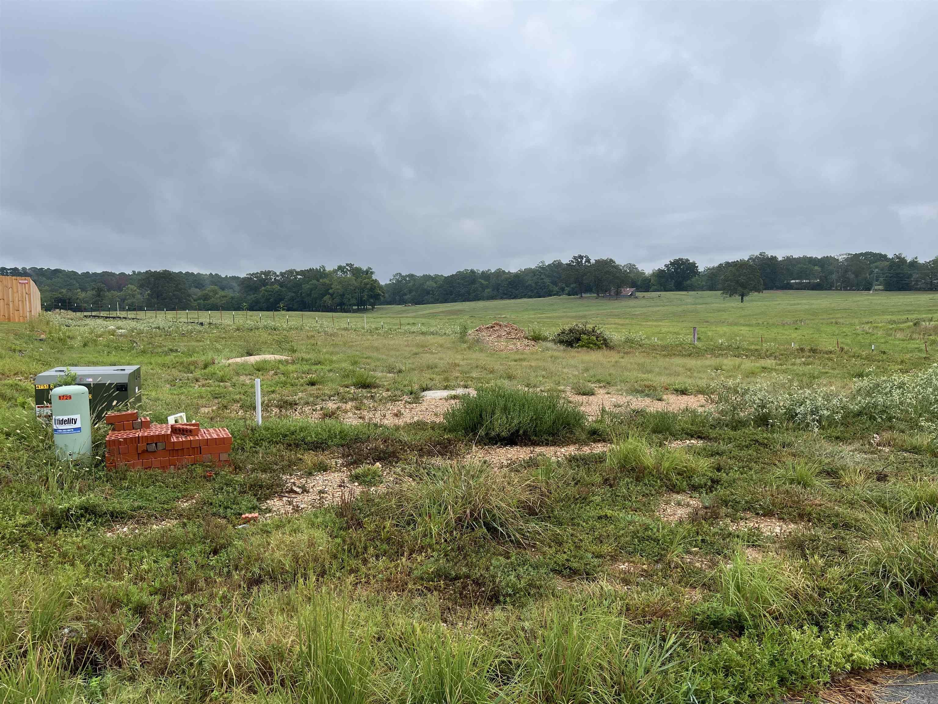 One of Bryant's newest Subdivisions. Conveniently located off Northlake Rd. Between the great Springhill Elementary and wonderful Bethel Middle School. This subdivision isn't too big you won't know your neighbor.  Bring your builder and come check out the available lots!