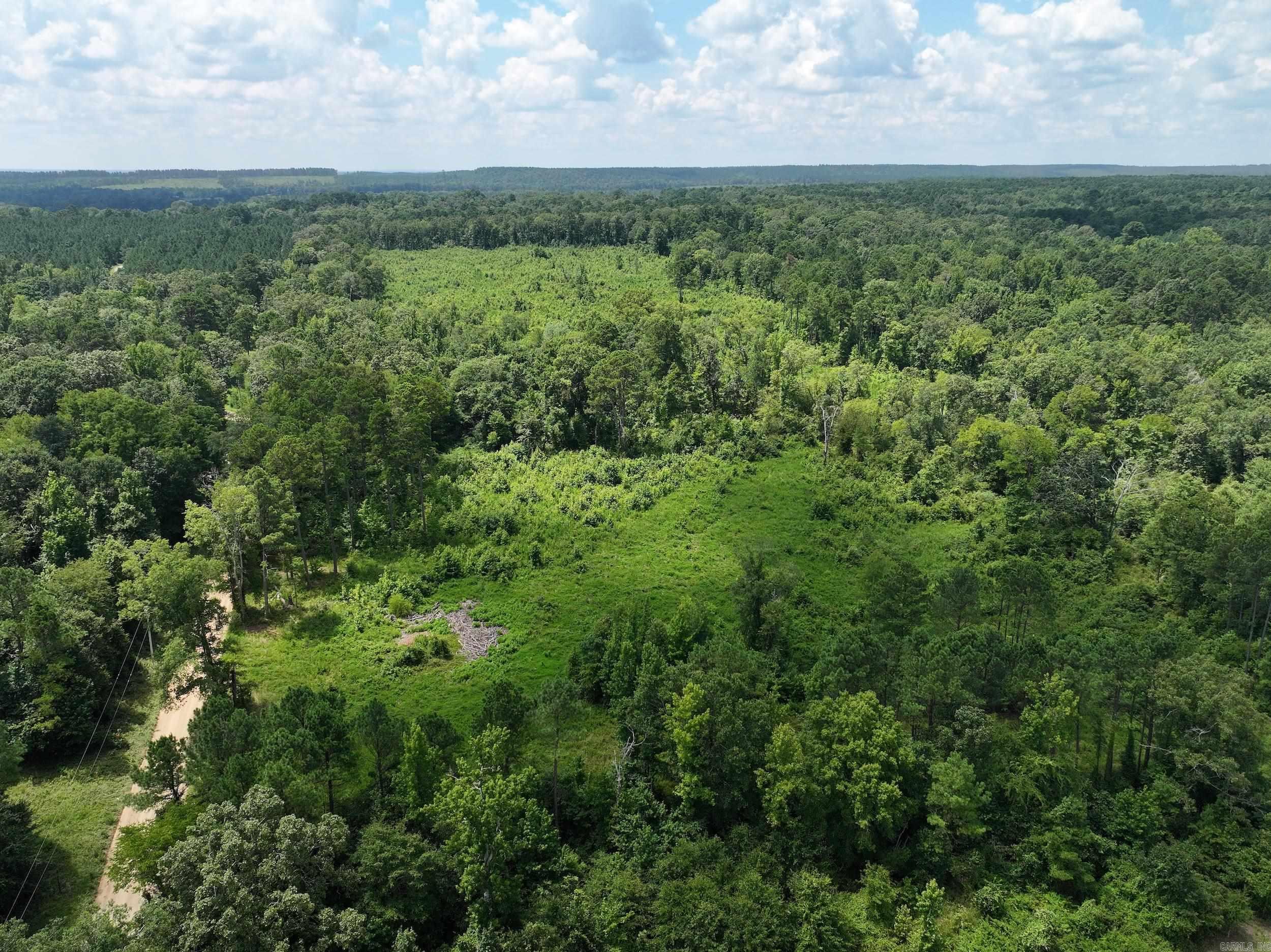 Discover the potential of this approximately 35 +/- acre tract in Donaldson, Arkansas! Recently logged within the last few years, this property offers a blank canvas for your vision—whether you're looking to build a home, establish a private getaway, or invest in land. A small creek meanders through the property, adding natural beauty and character. With easy access to Hot Springs, Malvern, and Interstate 30, you'll enjoy the perfect balance of peaceful country living and modern convenience. Whether you're ready to develop, recreate, or simply own a piece of Arkansas land, this versatile property is full of opportunity.  "OWNER FINANCING AVAILABLE"