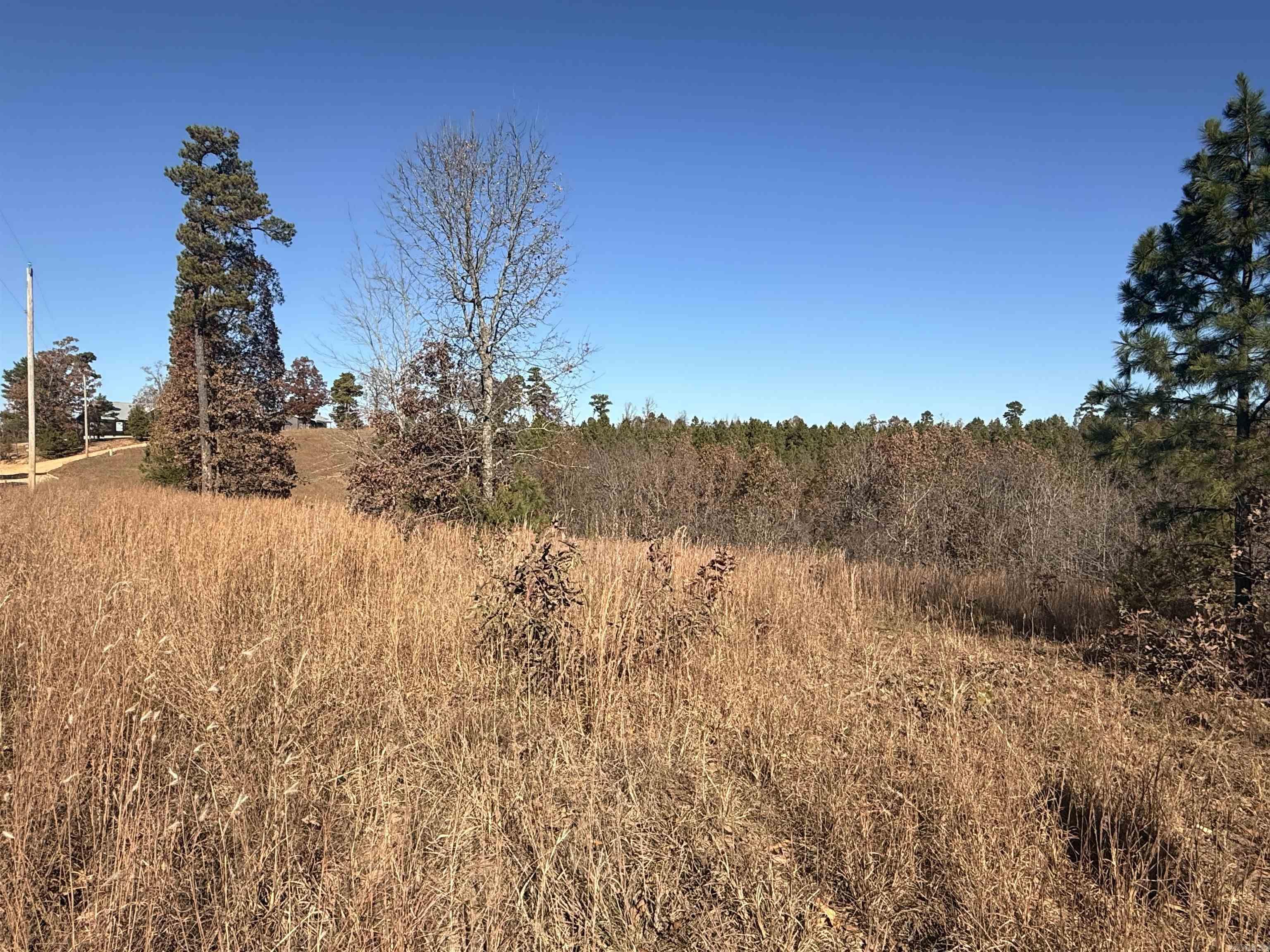 Building Lot, 3.41 acres. Tract 23 of The Blessing.  Water and electric available.  Nice view in desired subdivision. Covenants & Restrictions attached.