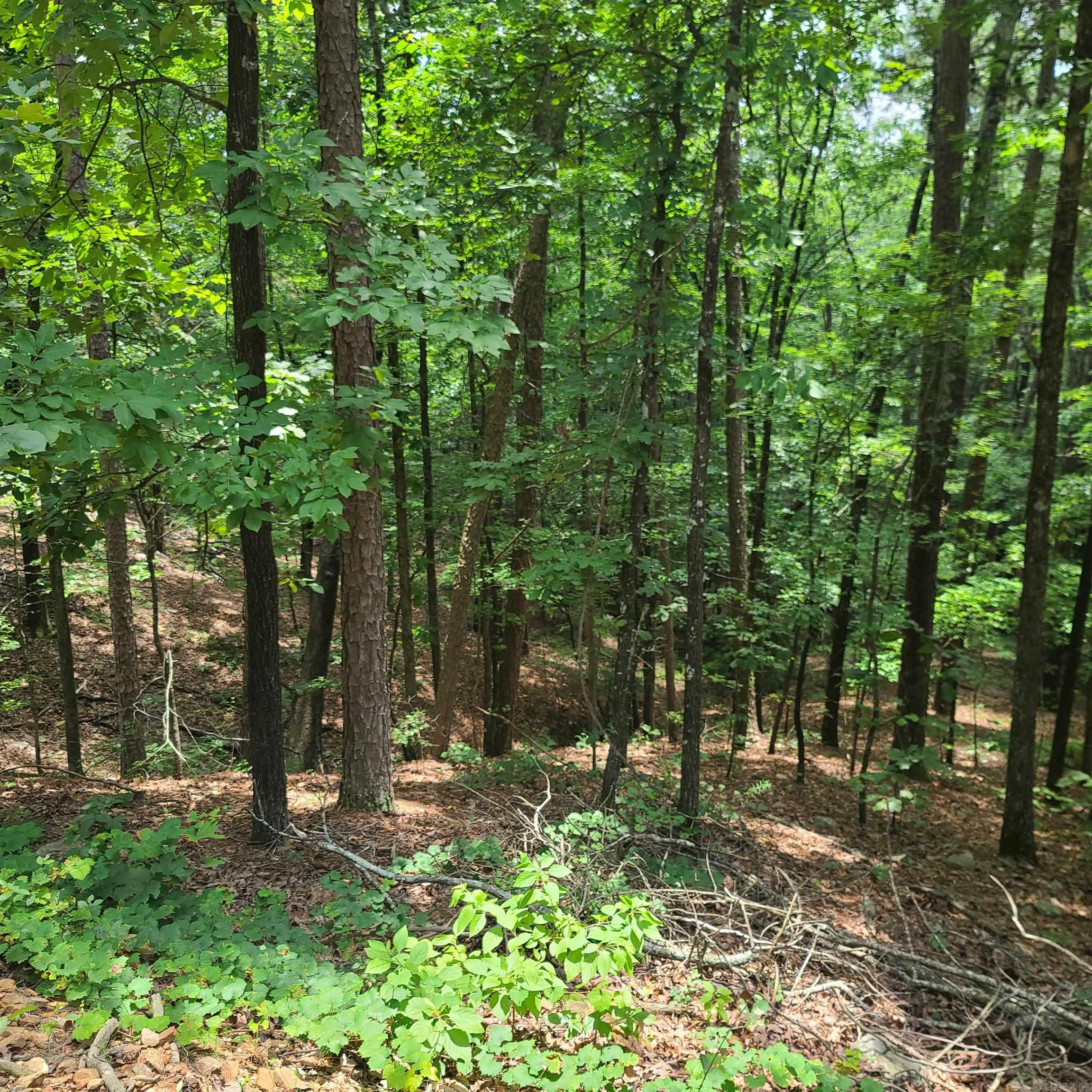 Not in Subdivision - Land