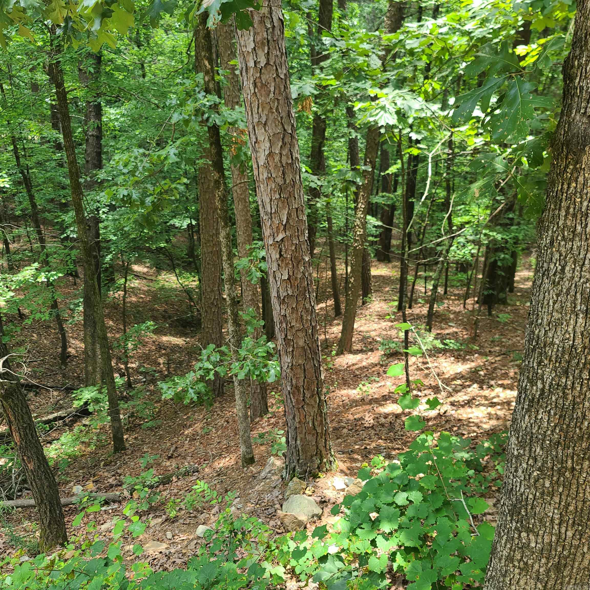 Not in Subdivision - Land