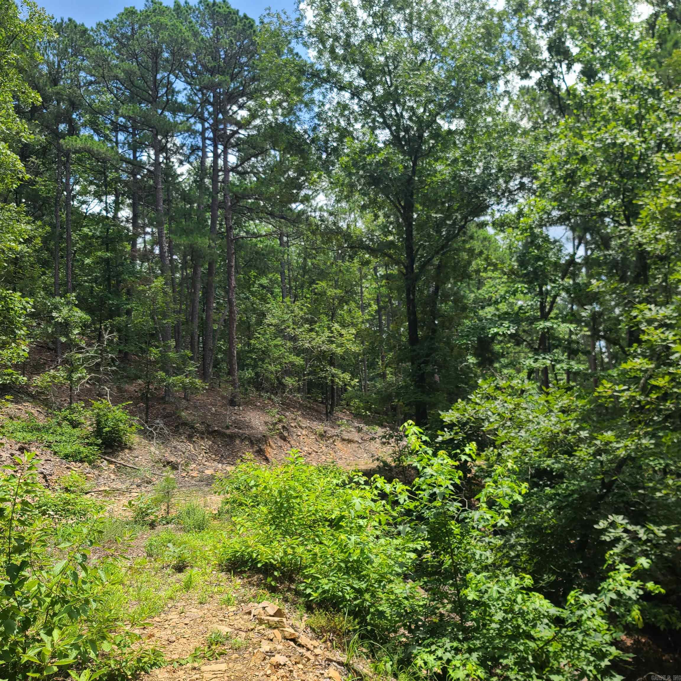 Not in Subdivision - Land