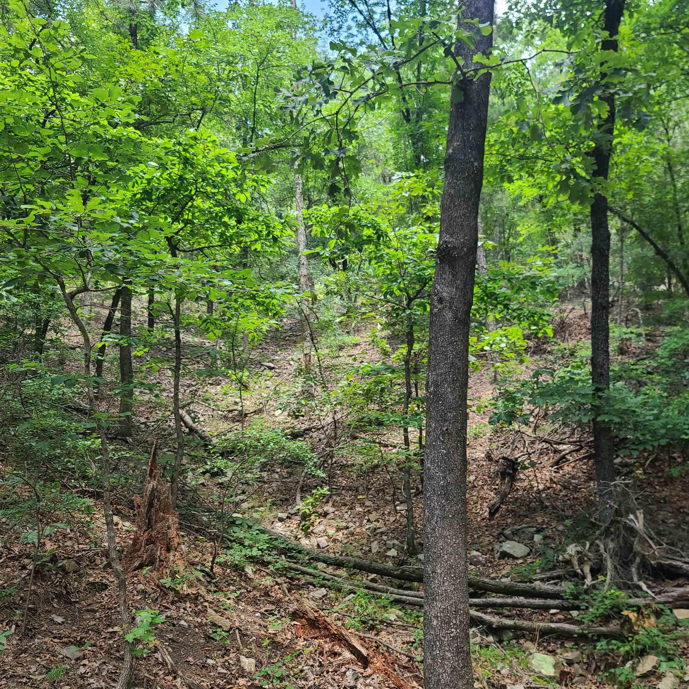 Not in Subdivision - Land