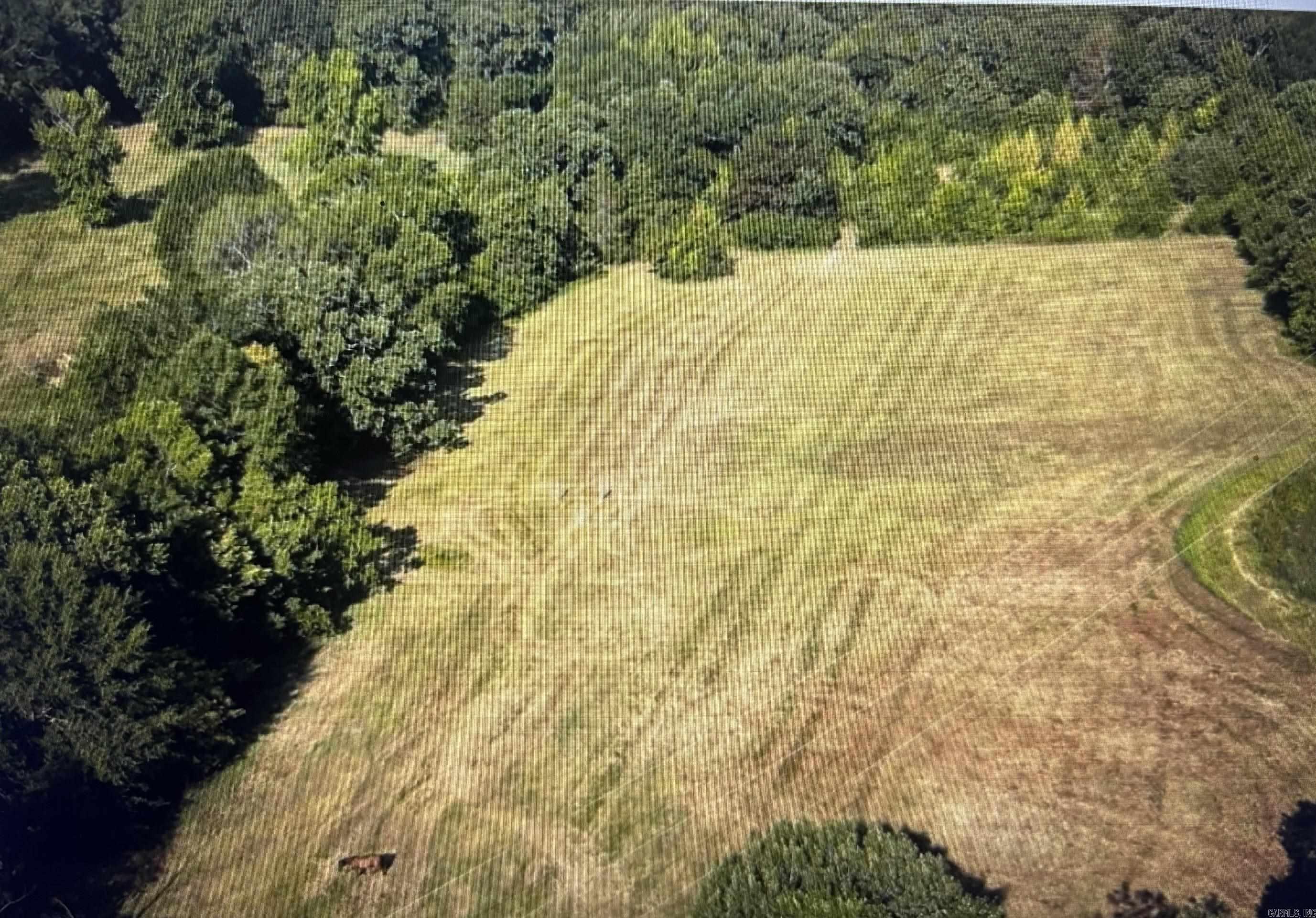 Escape to the peace and quiet of country living on this beautiful 5-acre tract near Atkins, Arkansas, just minutes from Russellville. With plenty of room to build your dream home, shop, garden, or hobby farm, this property offers the perfect blend of rural privacy and convenience. Enjoy wide-open spaces, scenic surroundings, and easy access to Interstate 40, making commuting and travel a breeze. Whether you’re ready to build now or invest for the future, this is an excellent opportunity to own acreage in the Arkansas River Valley. Owner Financing Available