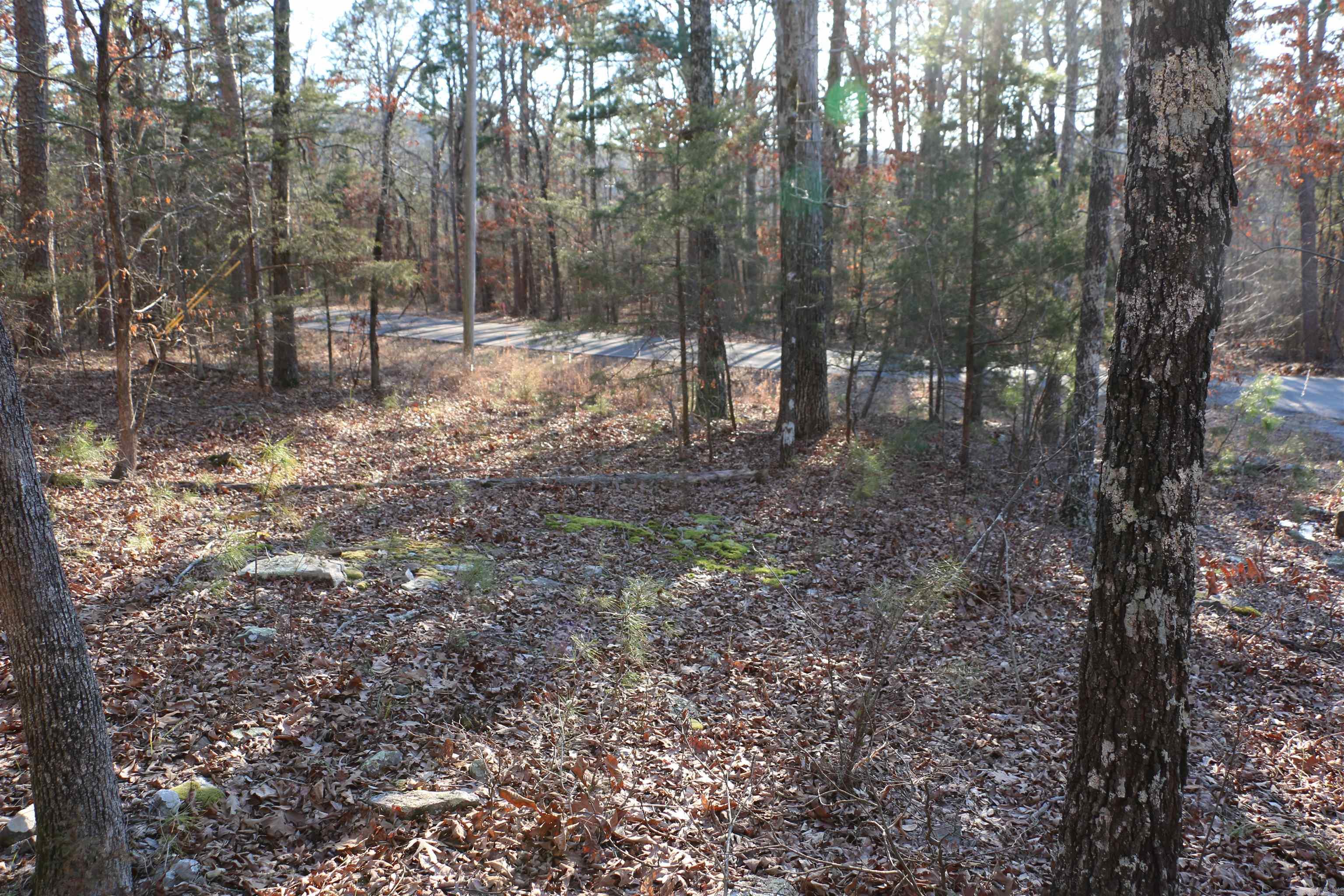 **PRIME LAKESIDE OPPORTUNITY IN FAIRFIELD BAY'S PREMIER RESORT COMMUNITY** Prime Lakeside CORNER Lot in Fairfield Bay Resort Community! Build your dream getaway near Greers Ferry Lake in the heart of the Ozark Mountains. Located on the north shore of the 40,000-acre stocked lake, Fairfield Bay is one of Arkansas’s premier recreational destinations. Greers Ferry Lake is nationally recognized for its environmental quality and is known for record Walleye and Hybrid Striped Bass, while nearby Little Red River holds the world-record German Brown Trout. Enjoy resort-style amenities including two championship 18-hole golf courses, 90+ miles of ATV/UTV trails, 20+ miles of hiking and biking trails, a full-service marina, tennis courts, three pools, fitness center, and on-site dining. Explore historic Indian Rock House Cave or take advantage of year-round boating, fishing, water skiing, and scuba diving. Just 75 miles north of Little Rock, this lot offers the perfect opportunity for a weekend retreat, retirement home, or full-time lakeside living.