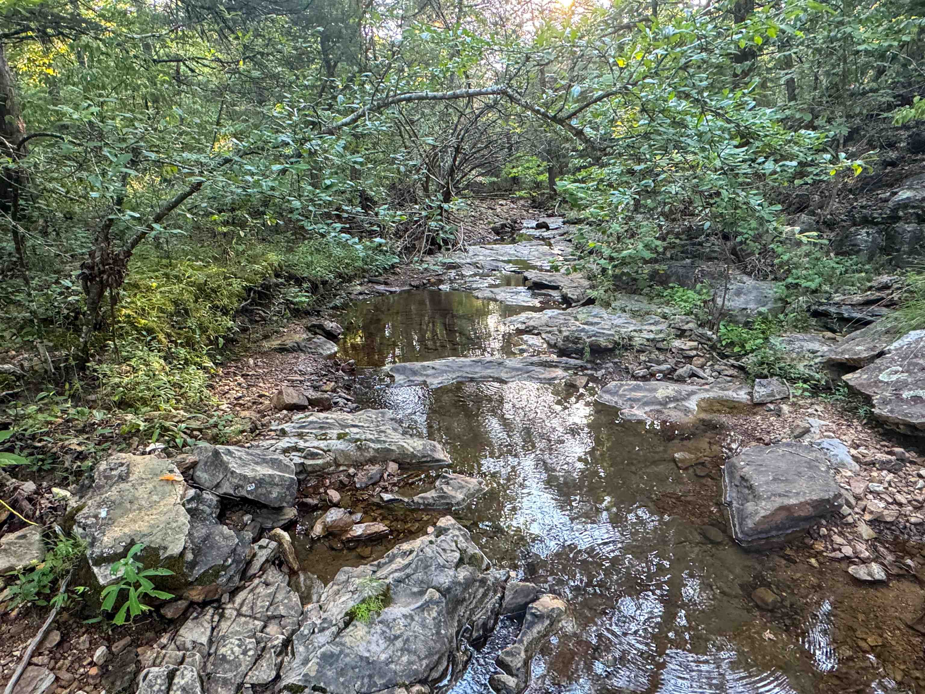 Looking for a turnkey hunting tract or private getaway? This 50+/- acre property in Sharp County has it all. Unrestricted with deeded easements and dirt road frontage, it features 540 ft of year-round creek frontage, wet-weather creeks, and a spring. A cleared pad with electric is already in place near the connex box shown in the photos—perfect for a camper or cabin setup.  The land includes trail systems, a white oak patch that draws heavy deer traffic, and diverse terrain that supports wildlife year-round. Trail cam photos show mature bucks and wild hogs on site. Timber was clear-cut about 25 years ago, so you’ve got great cover now or the option to open up for pasture, food plots, or future development.  Acreage rarely hits the market in this area—especially with this much going for it. Don’t wait.